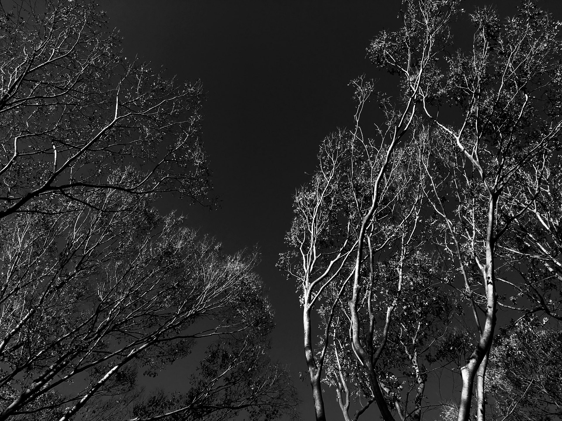 Full-frame shot of architecture details in black and white.