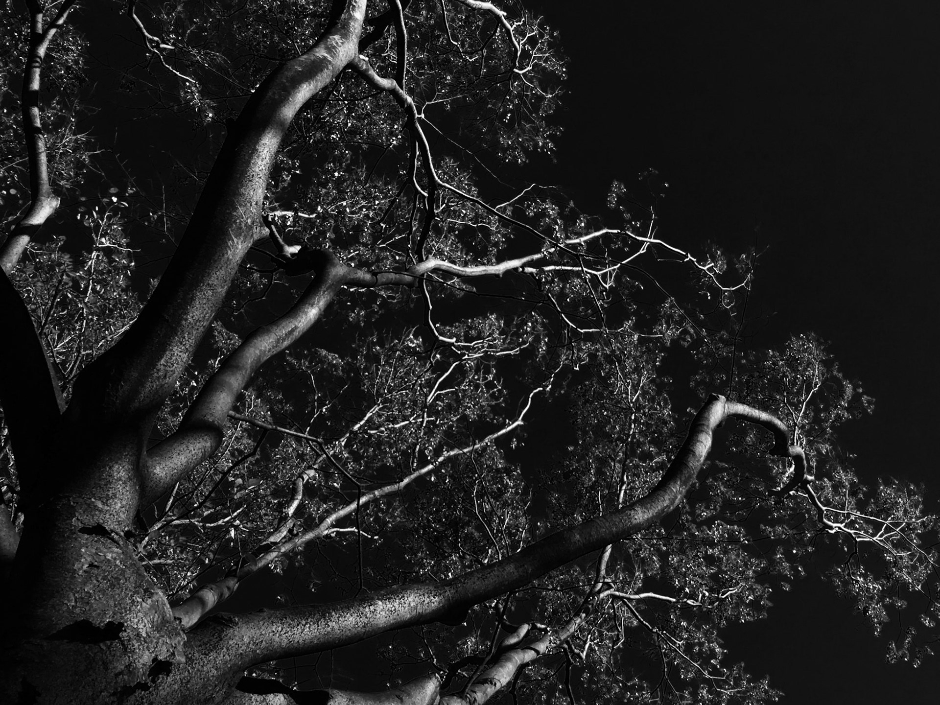 Full-frame shot of architecture details in black and white.