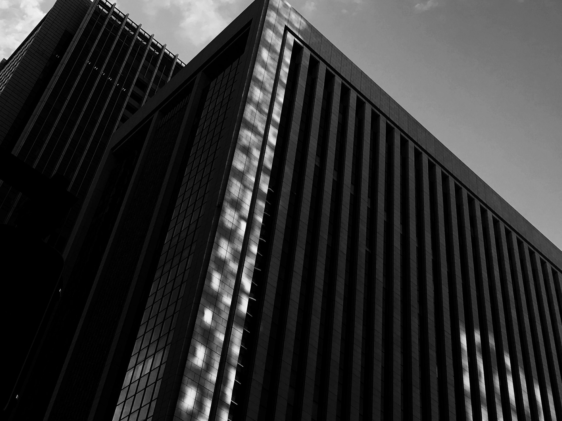 Full-frame shot of architecture details in black and white.