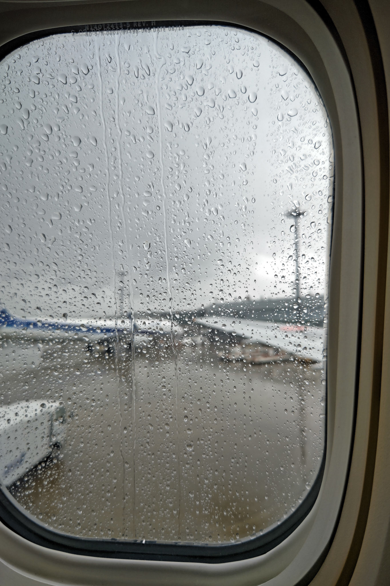 帰りも雨