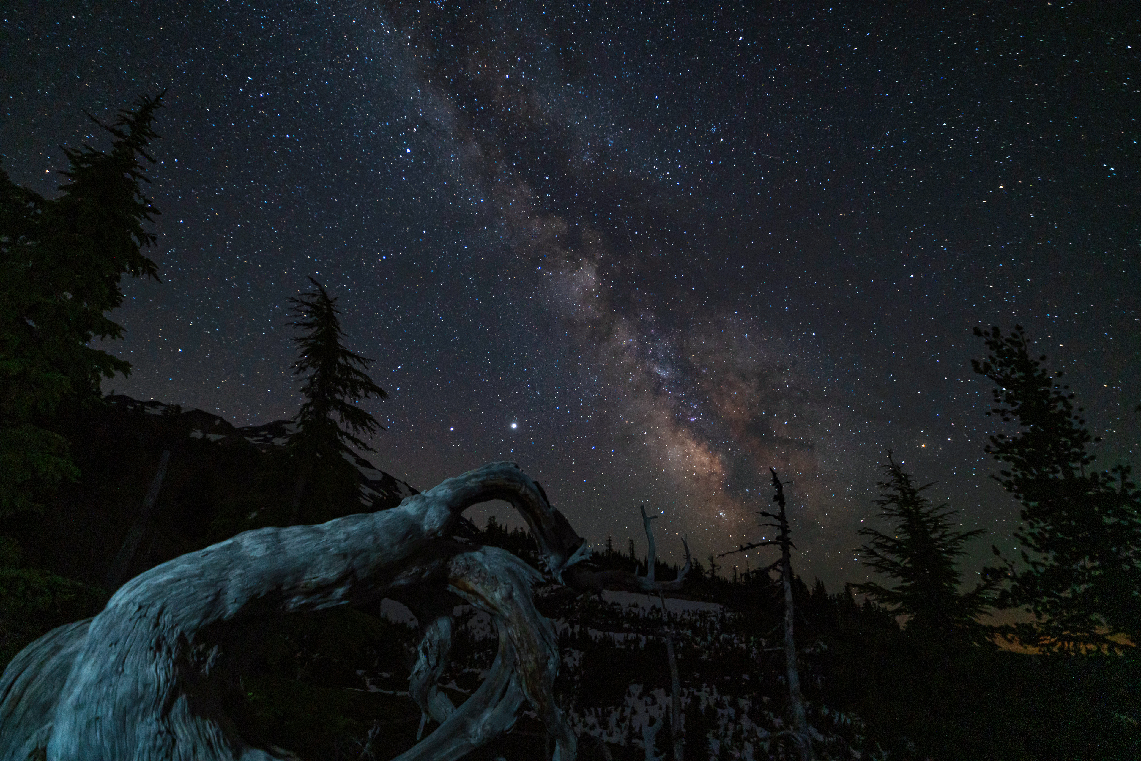 Obsidian Wilderness.