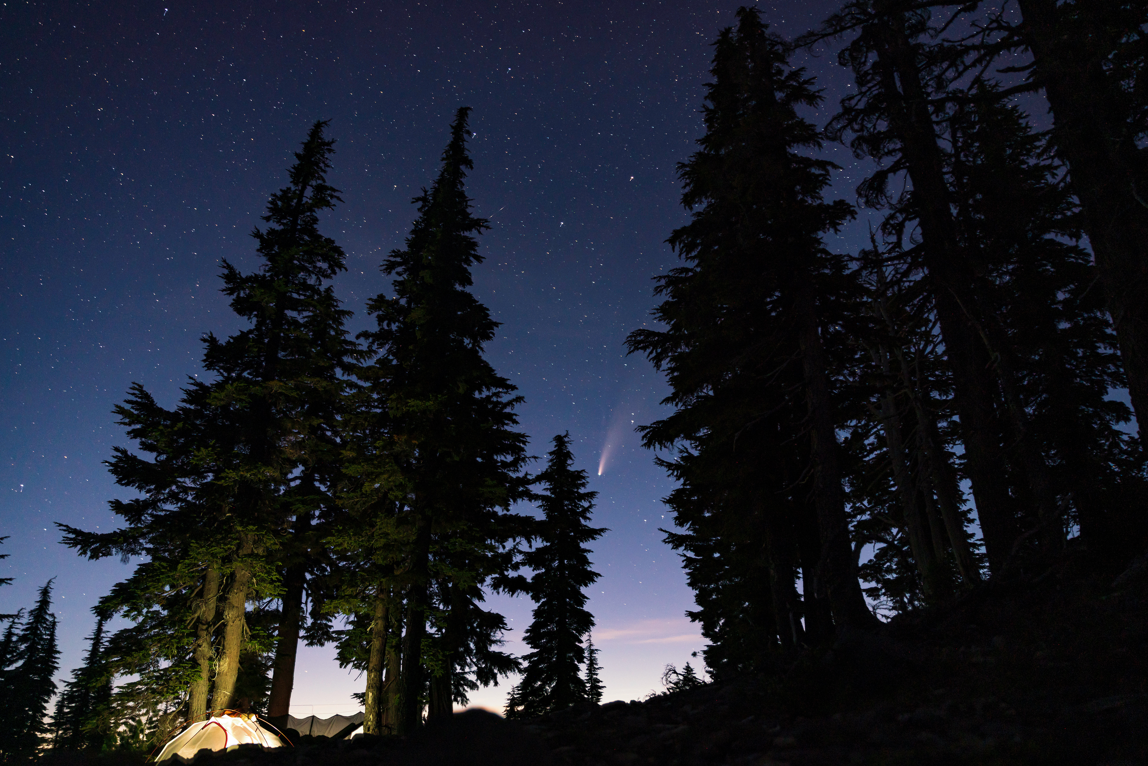 Neowise Comet in the Obsidian Wilderness.