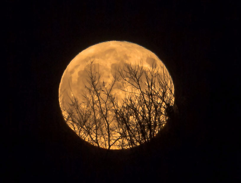 Halloween full moon