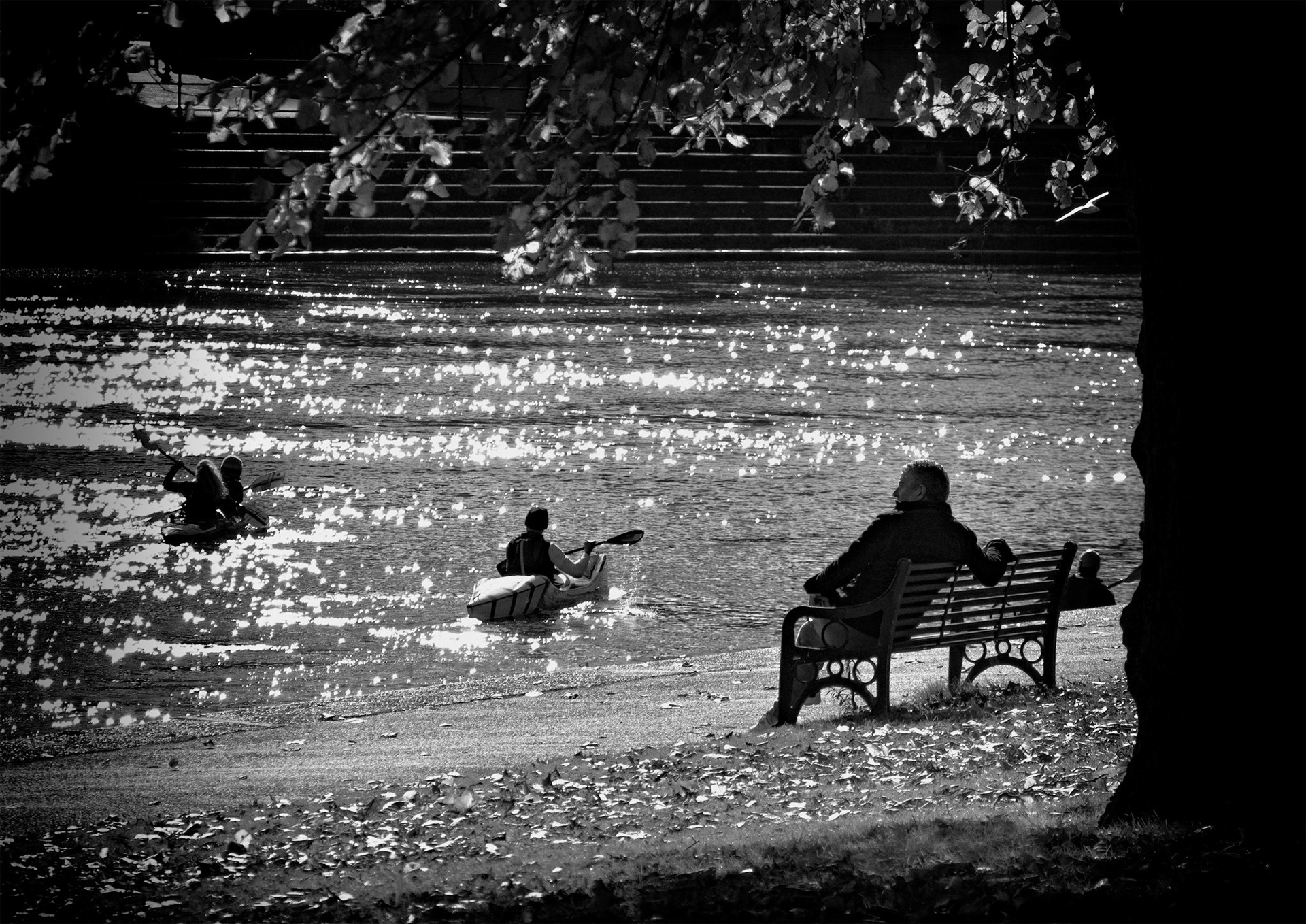 water watching  relaxing playing