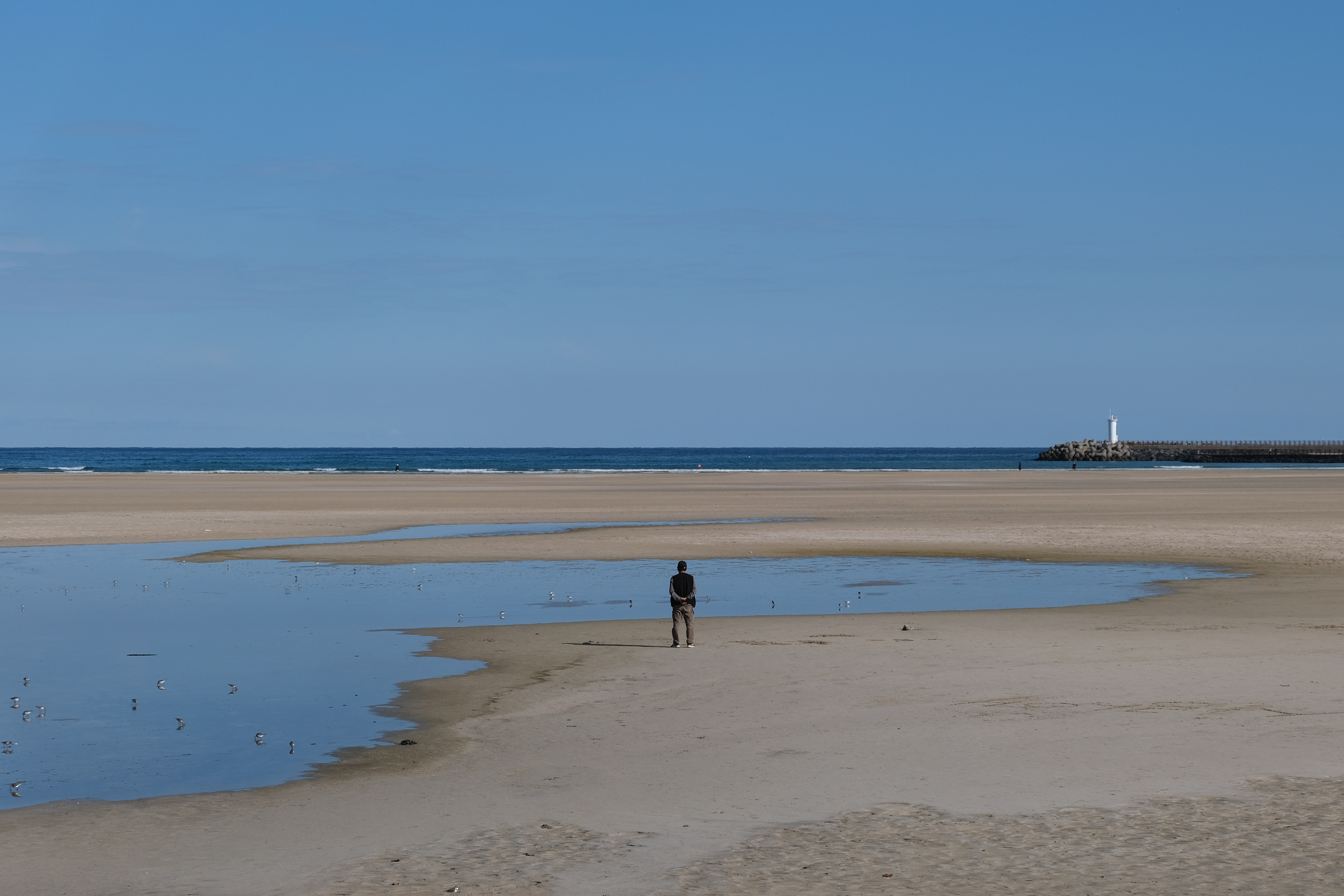Jeju Blues