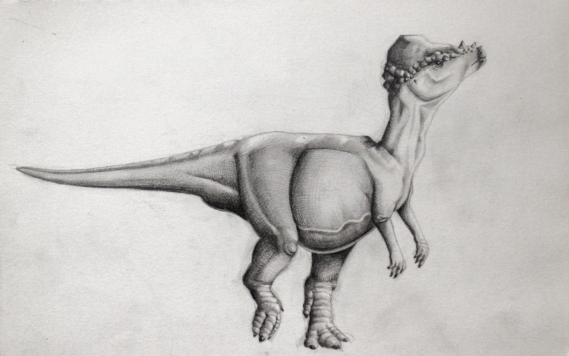 Master Study of Brian Franczak