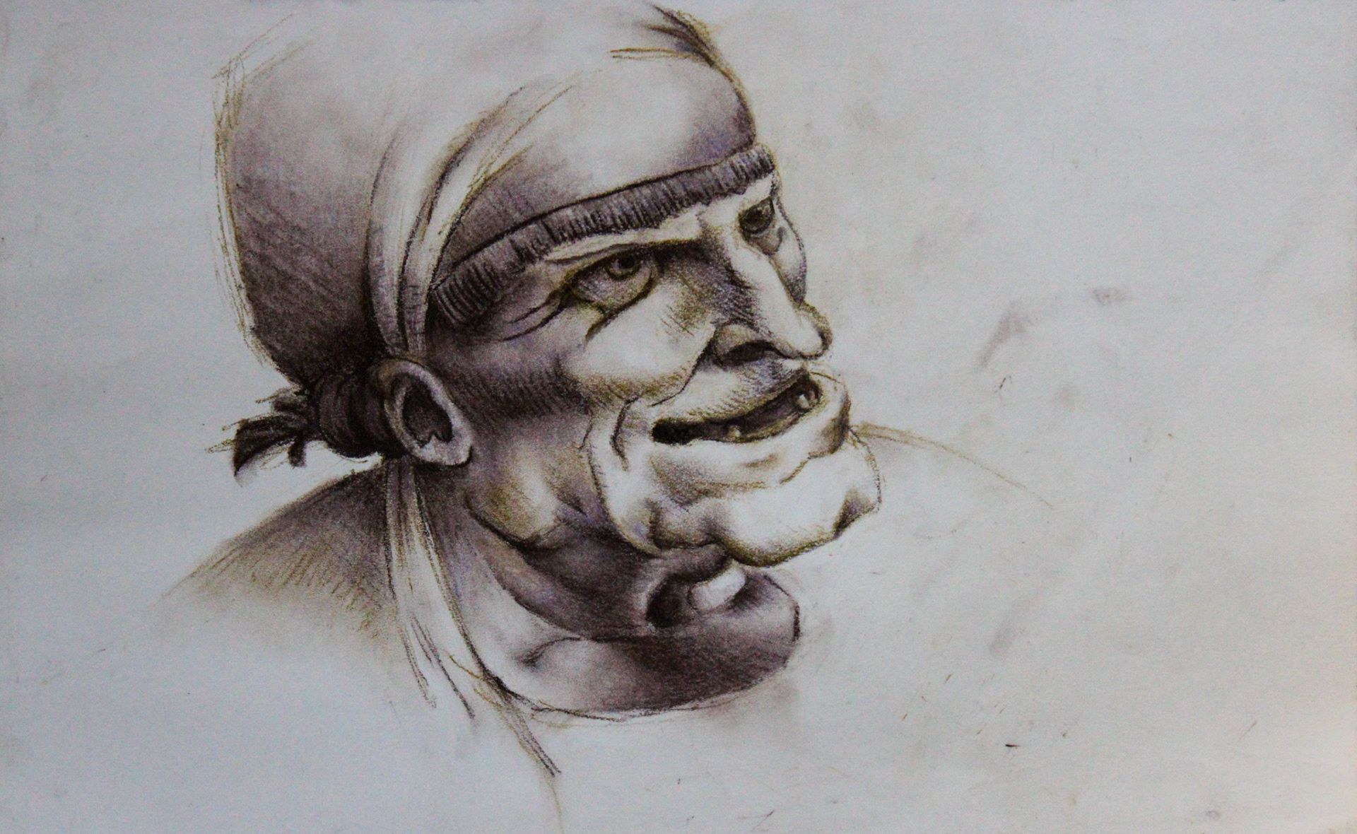 Master Study of Leonardo Da Vinci
