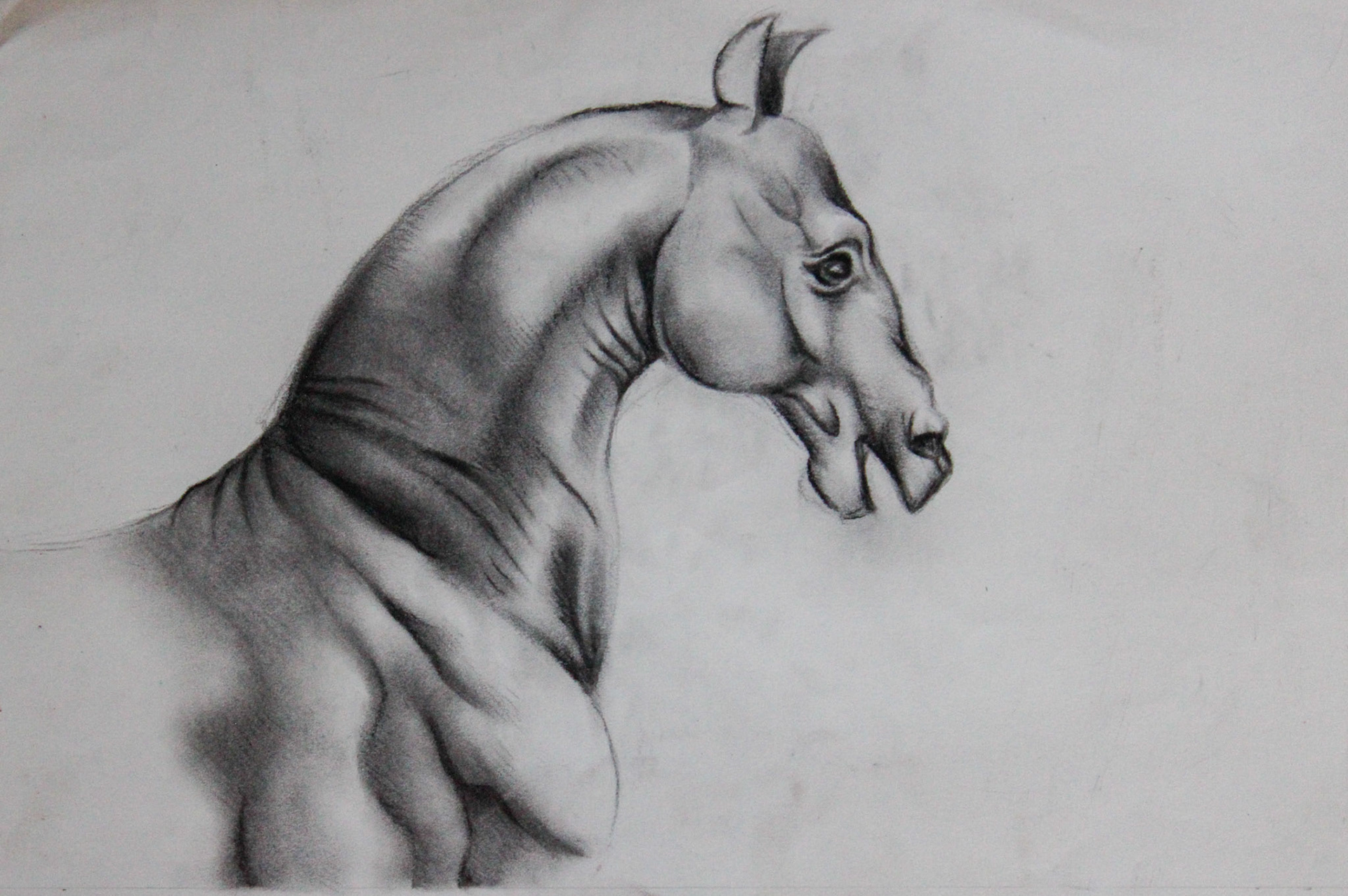 Master Study of Leonardo Da Vinci