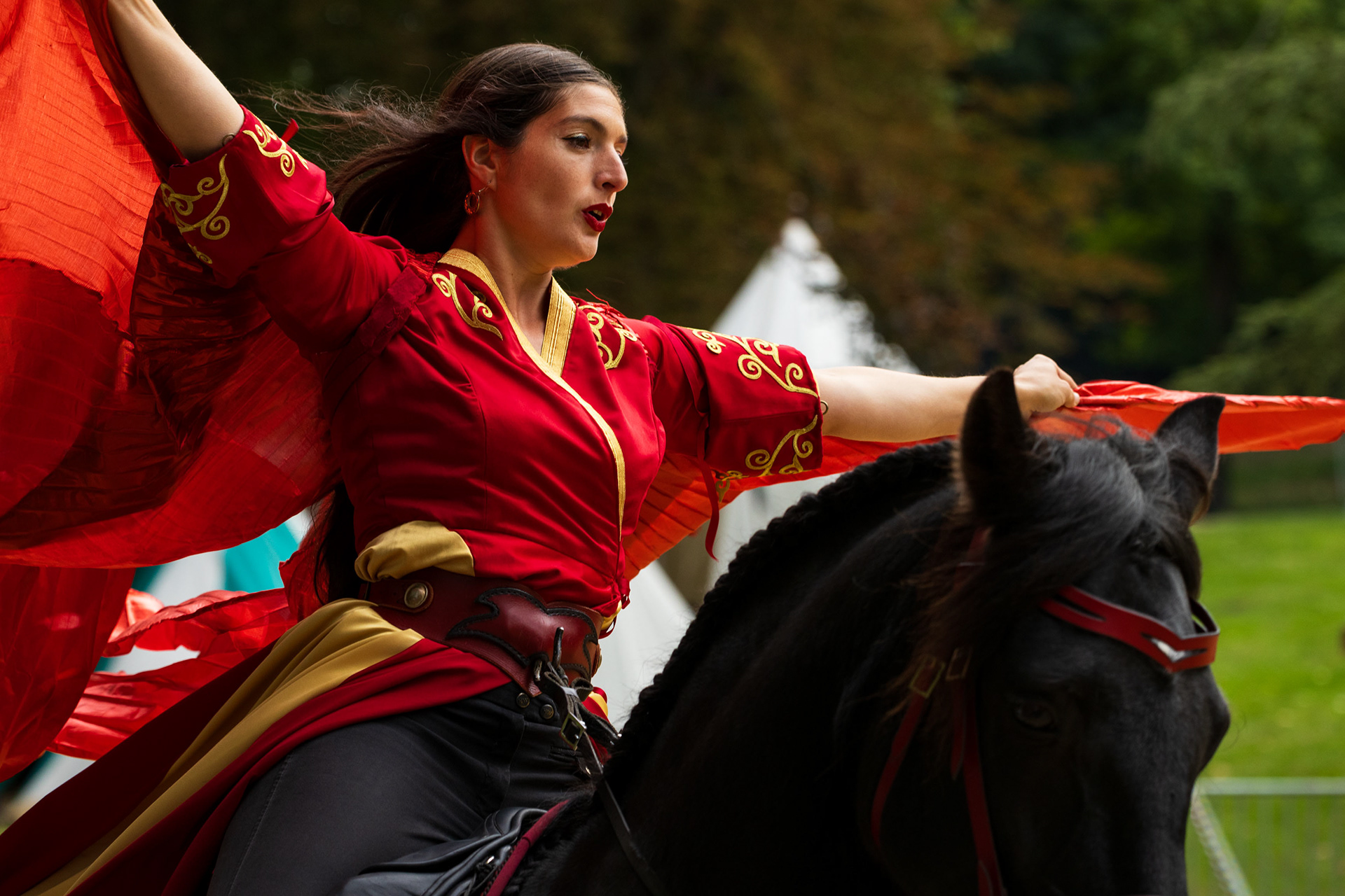 Alezia Show Equestre