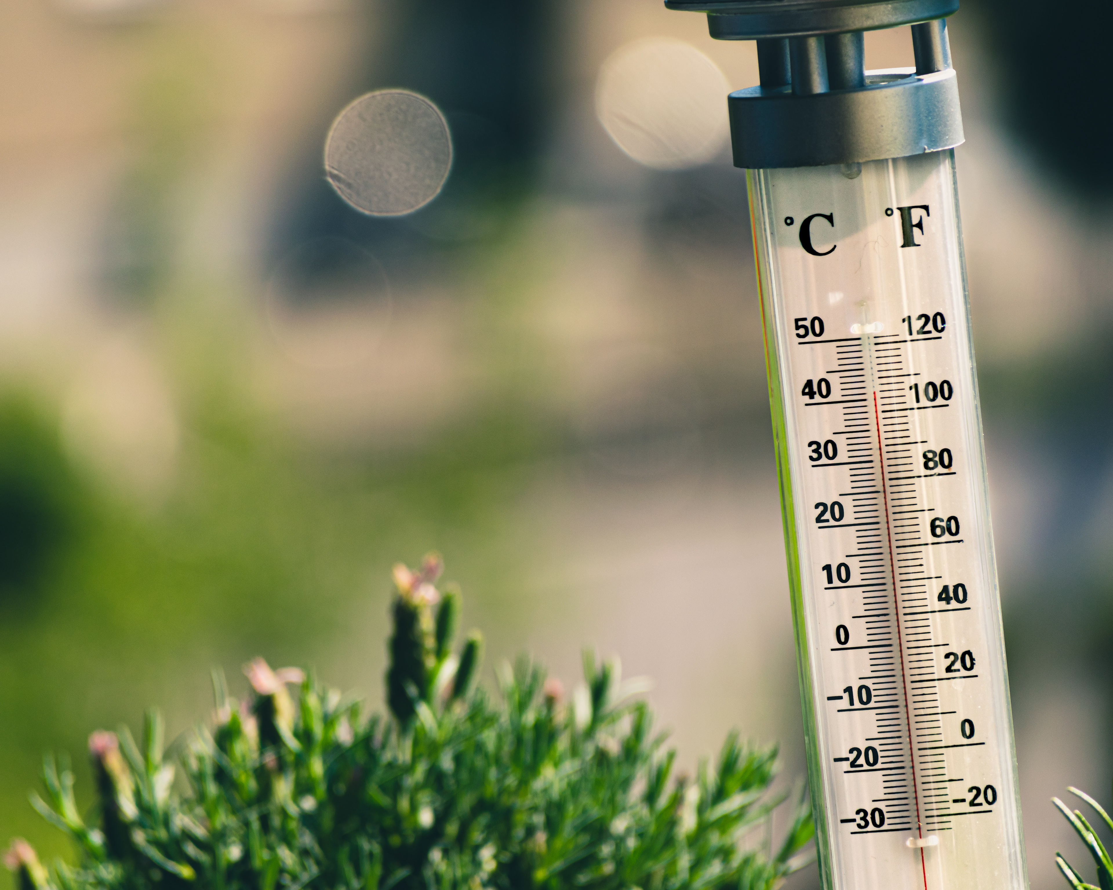 Build a Homemade Thermometer to Measure Temperature