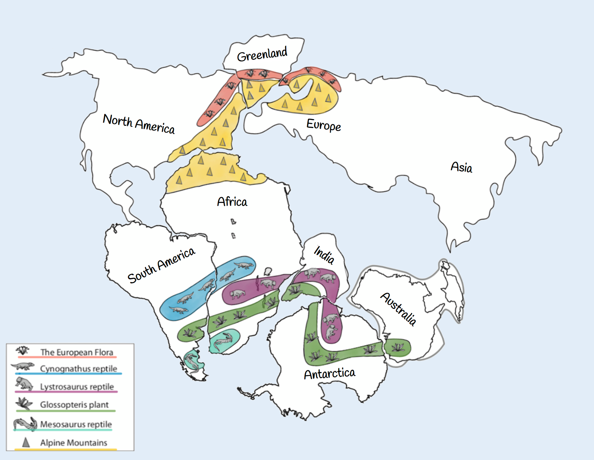 pangea puzzle with fossils