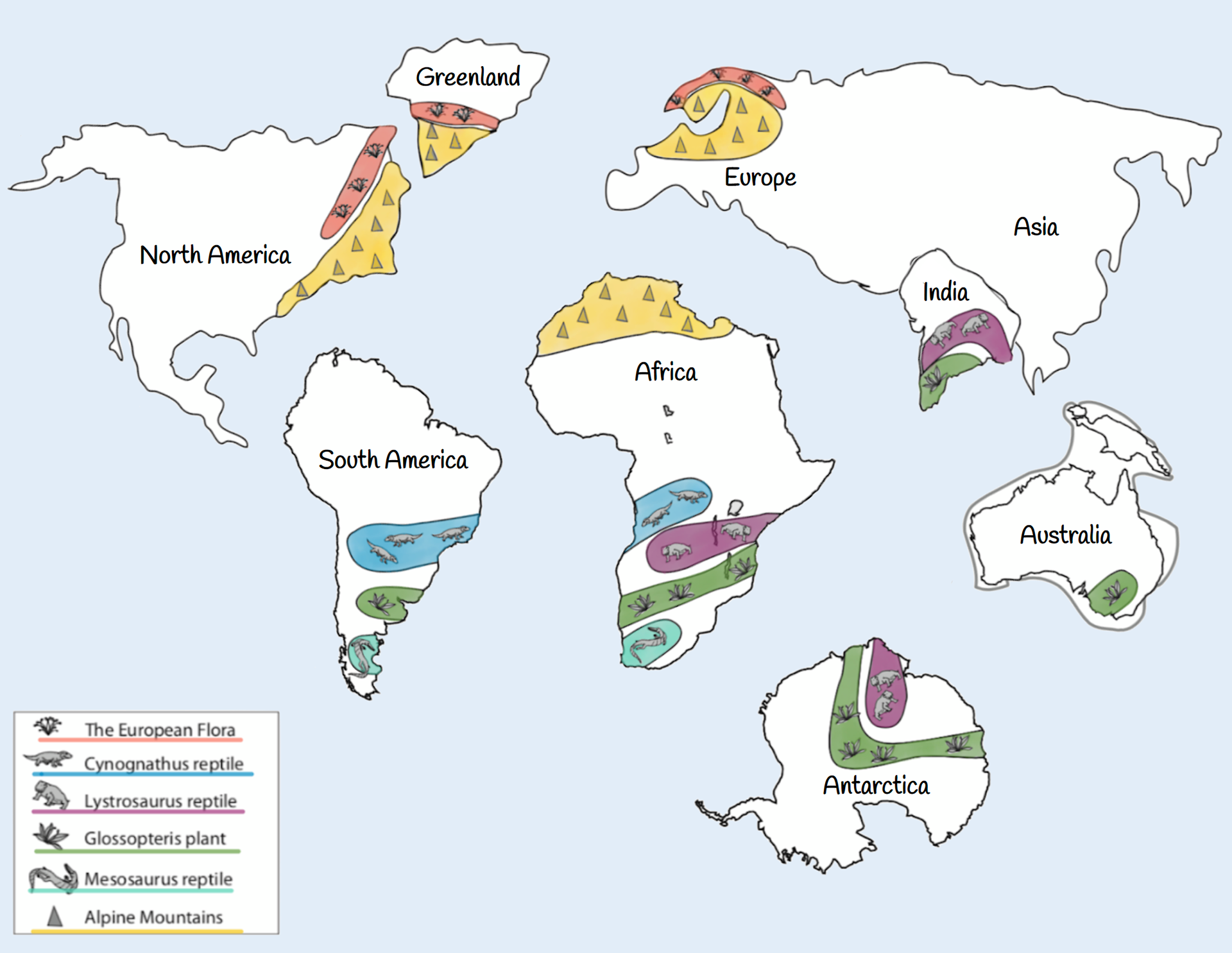 pangea puzzle with fossils