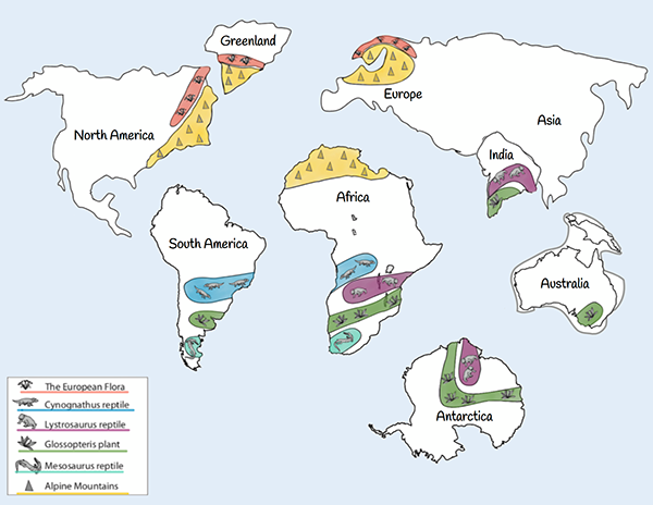 Kristie McMahon - A Global Puzzle