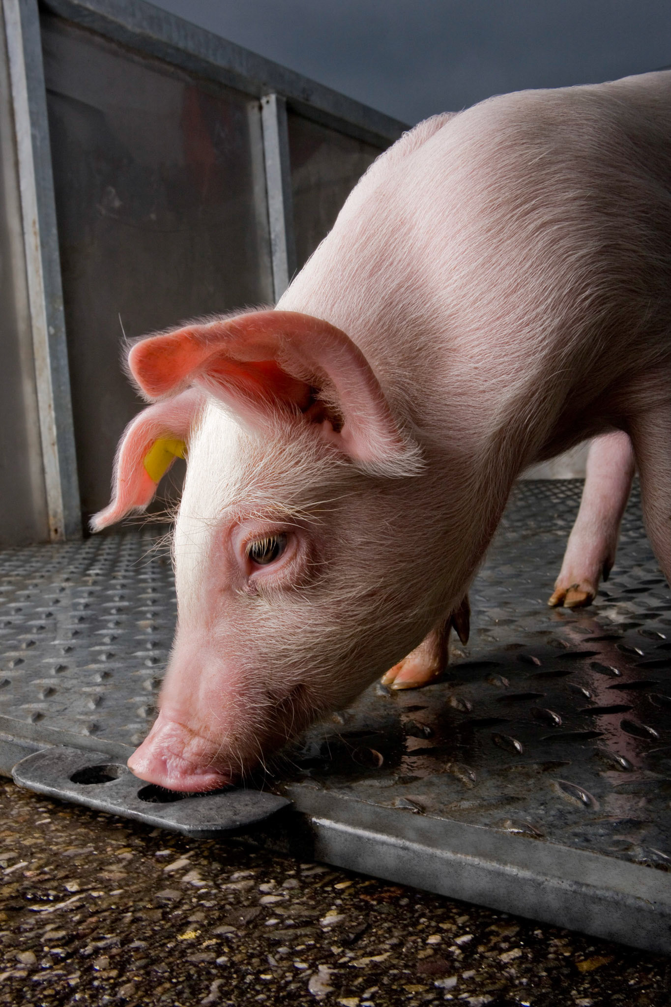 BedrijfsfotografieBedrijfsfotograafBedrijfsreportageProfessioneel FotografieFotoreportageFoto reportageReportagefotografieMensen aan het werk