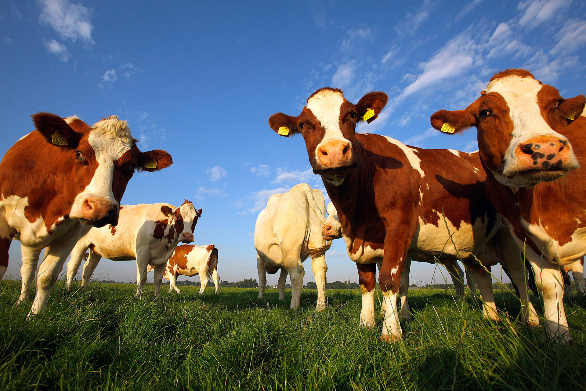 Headshot’sPortret fotografie op locatieFotoshootZakelijke portrettenPortrettenZakelijk portret fotografieZakelijke fotoshootLinkedin profielfotoProfielfoto zakelijkZakelijke profielfoto’s