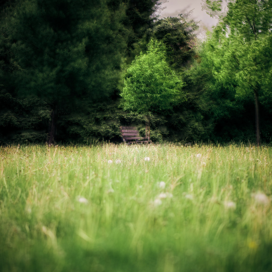 A bench with vertigo
