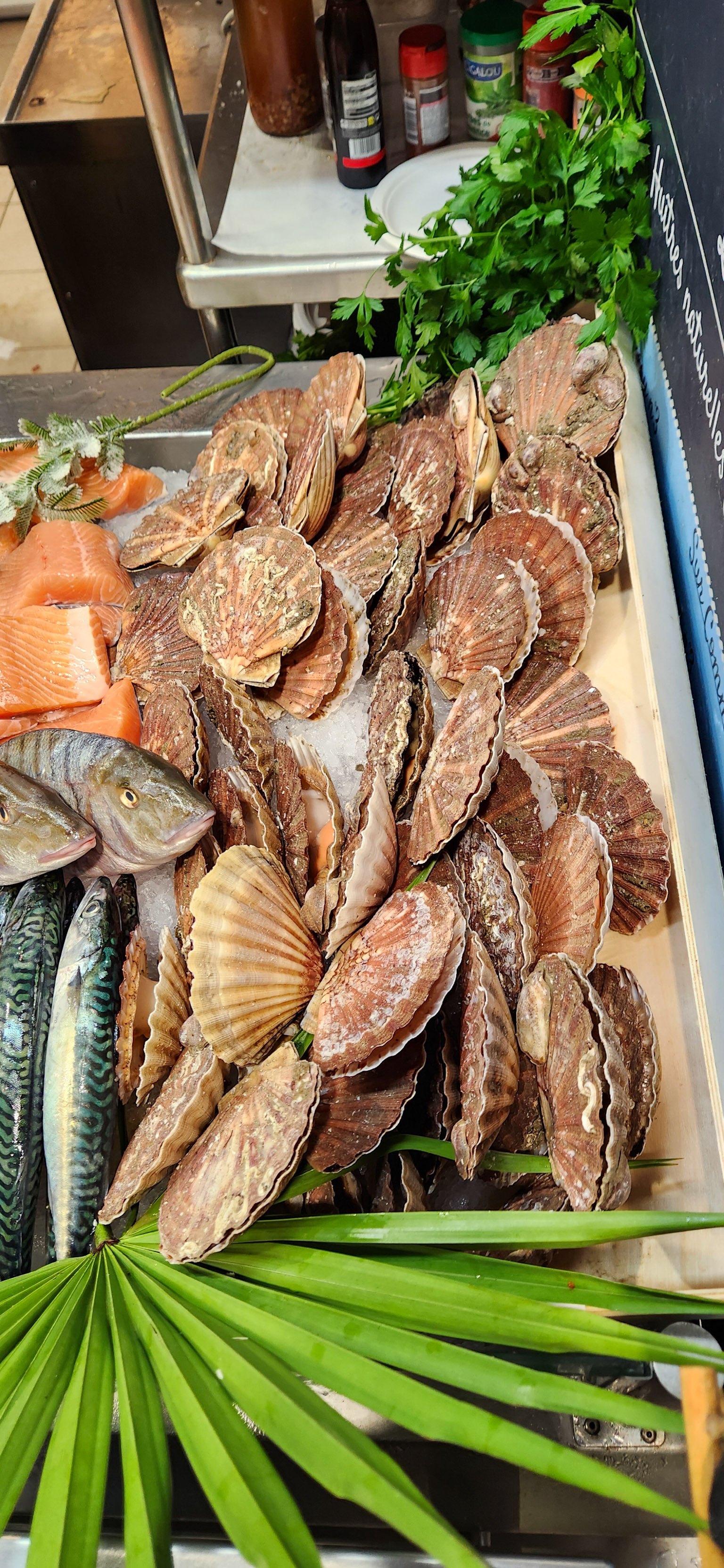 Scallops at the Market Hall, Bayonne France