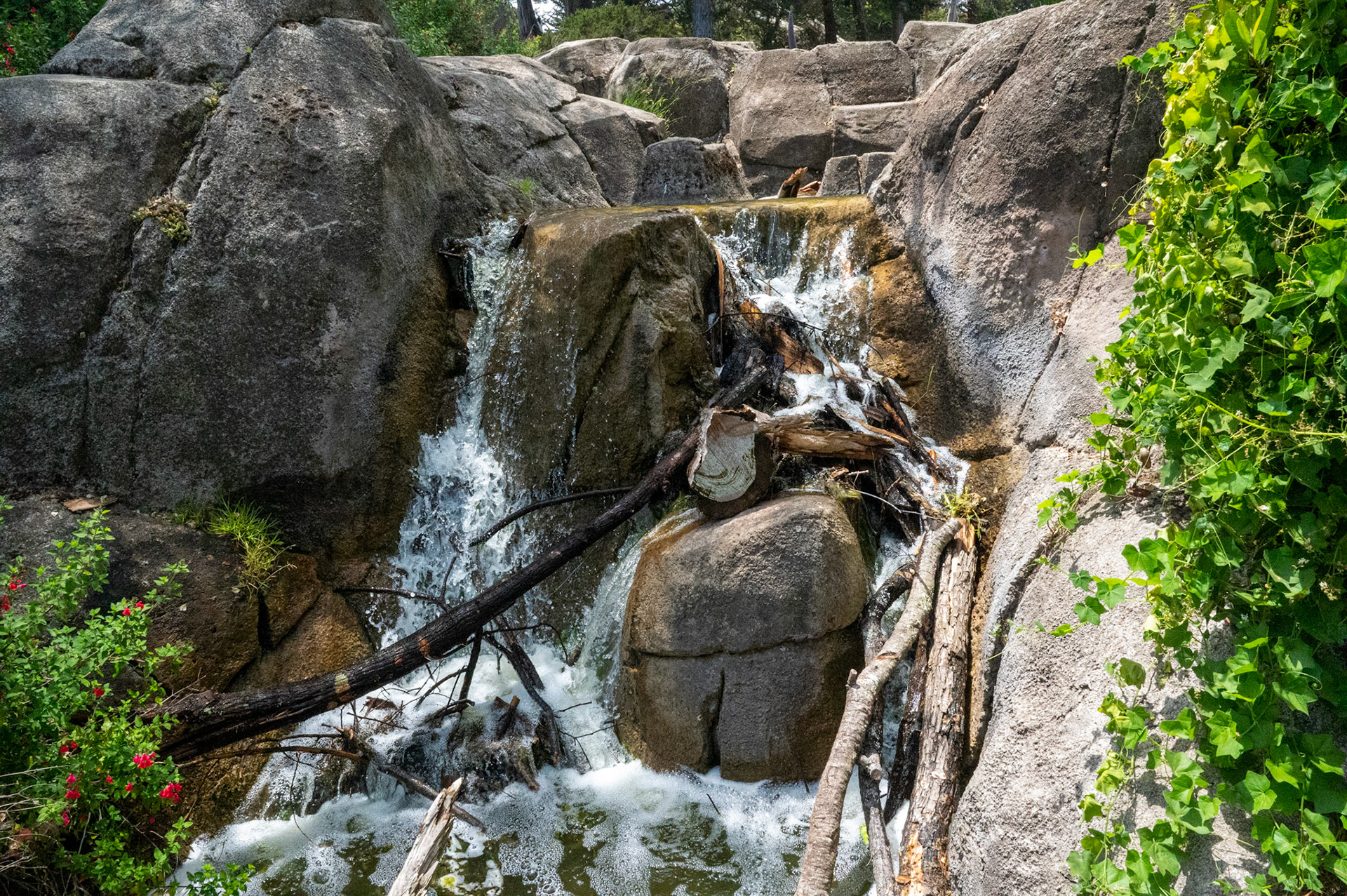 Sequoia National Park, California