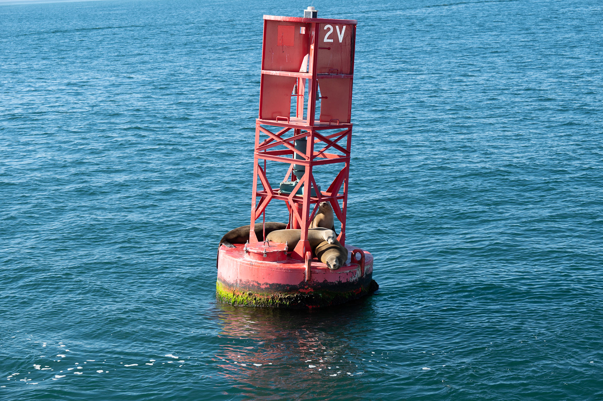 Santa Barbara Channel