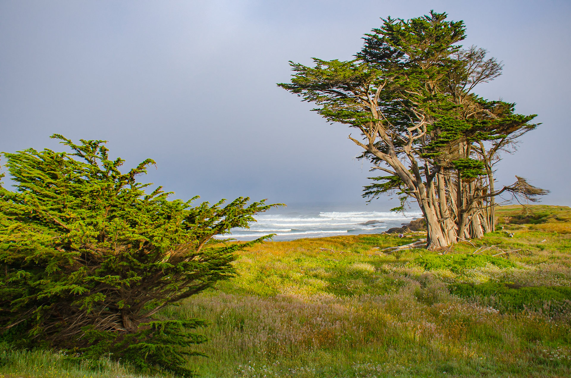 Ft. Bragg, California