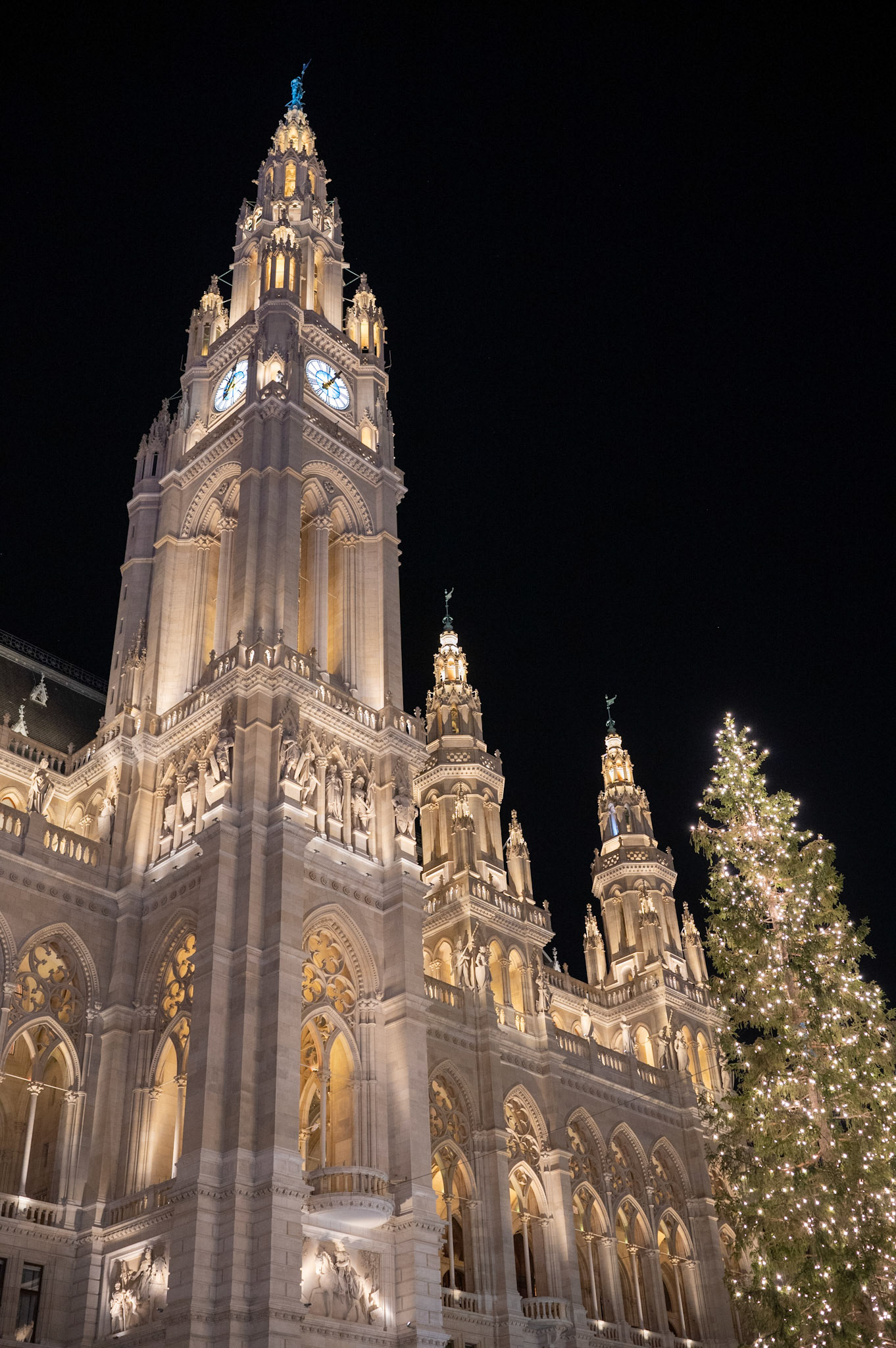 Rathaus der Stadt Wein @ Night (Vienna Town Hall)