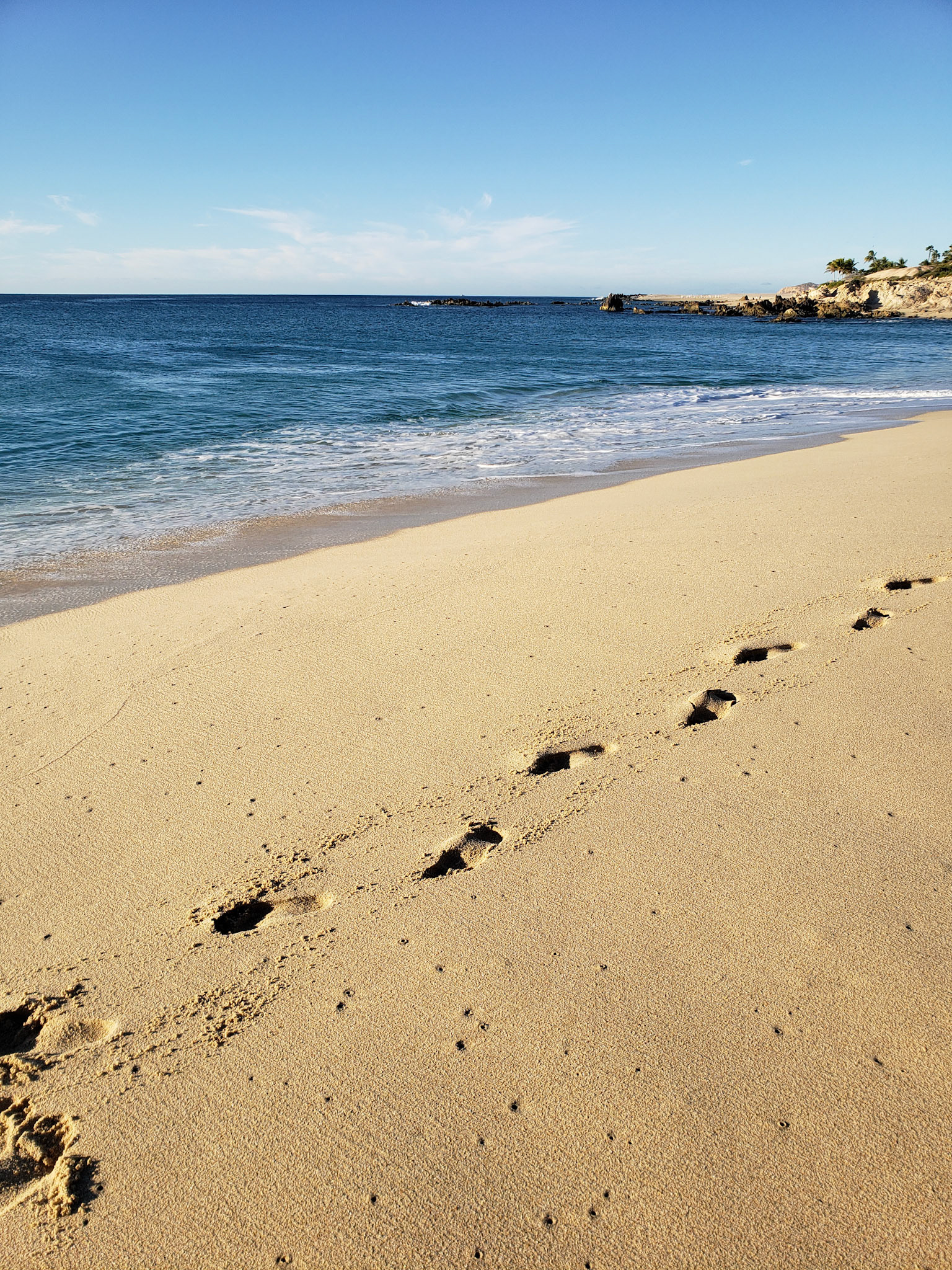 Los Cabos, Baja California