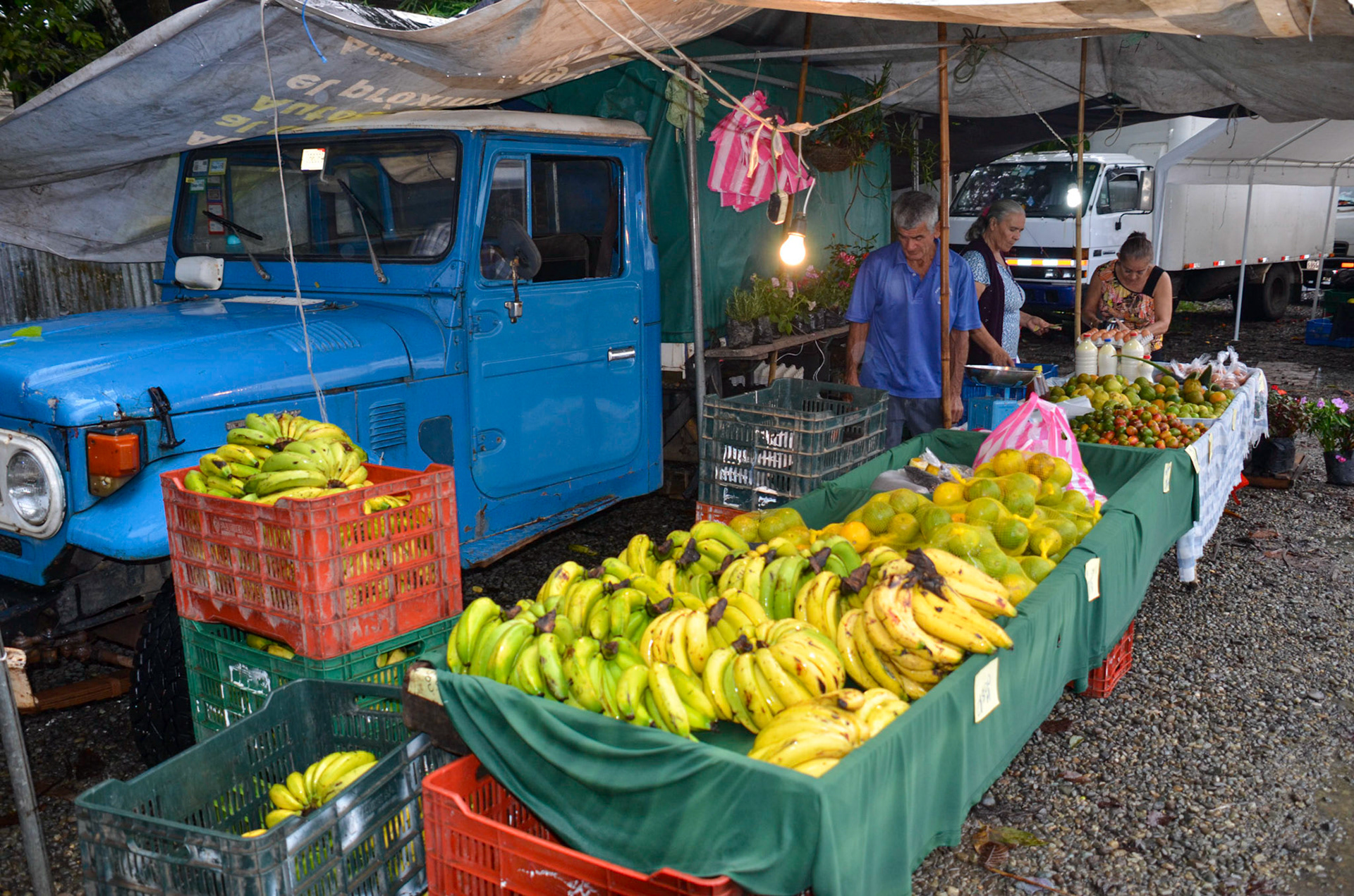 Fresh Market - Quepos, Costa Rica