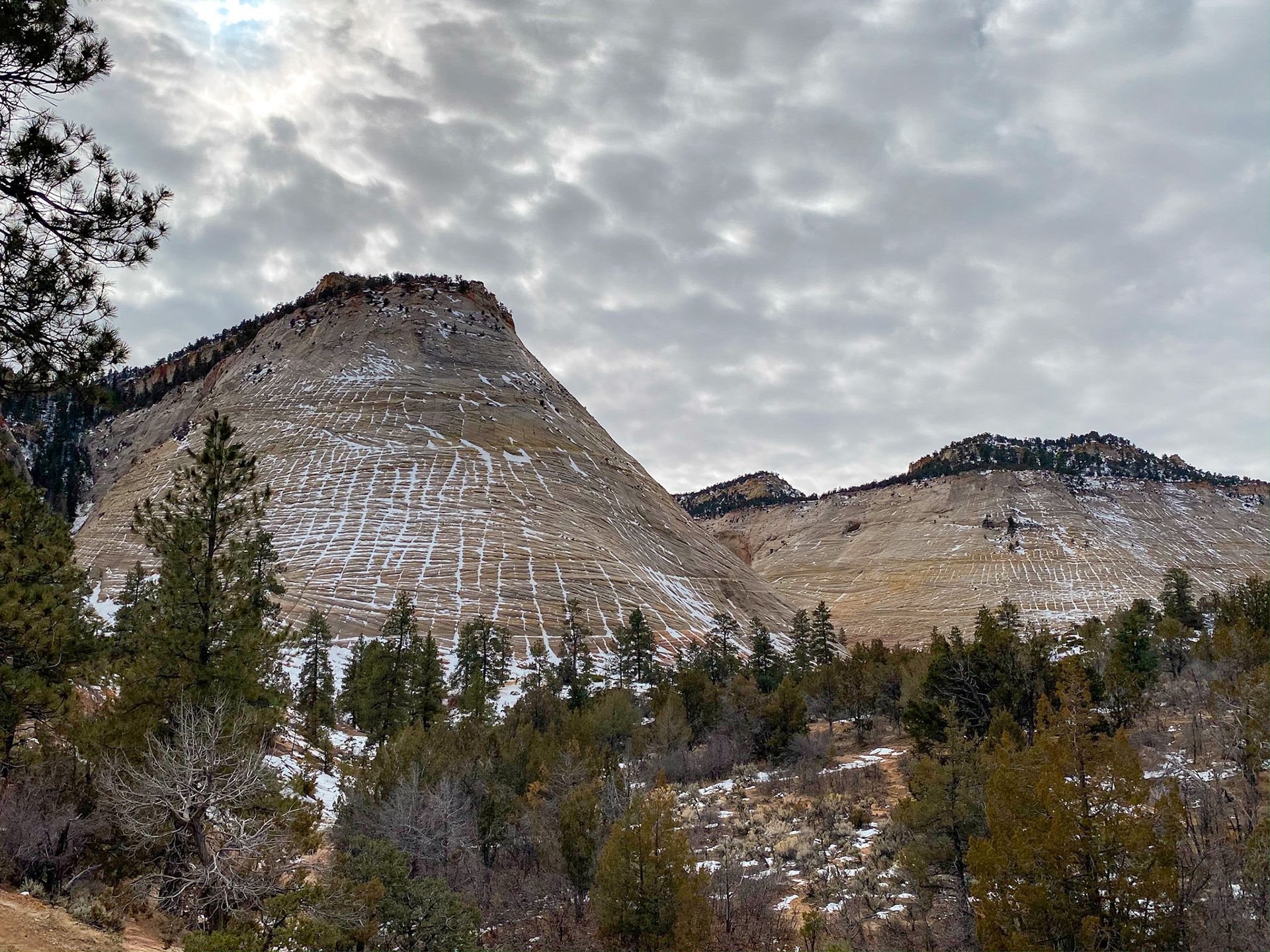 Checkerboard Mesa, Zion National Park