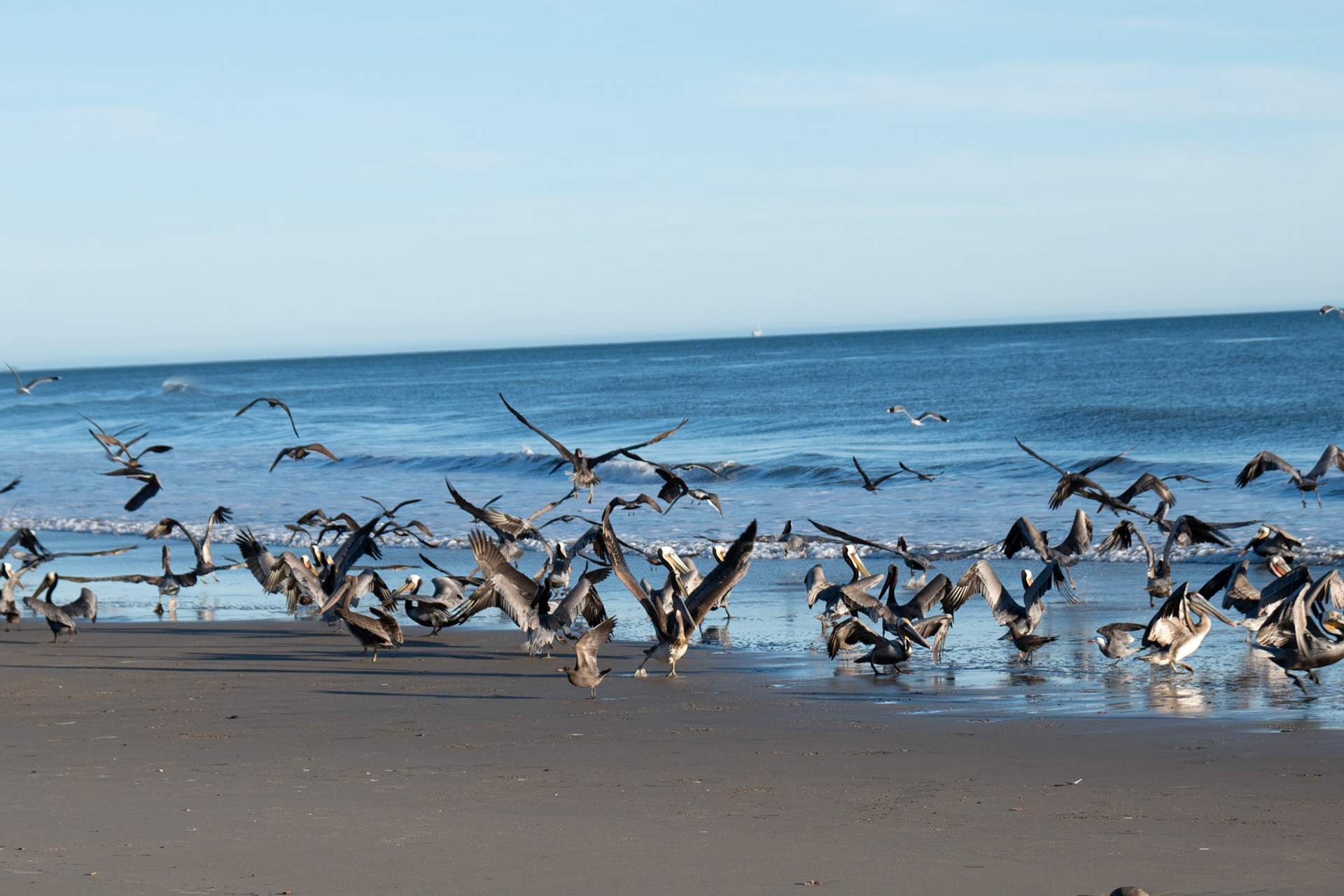 Jalama Beach, California