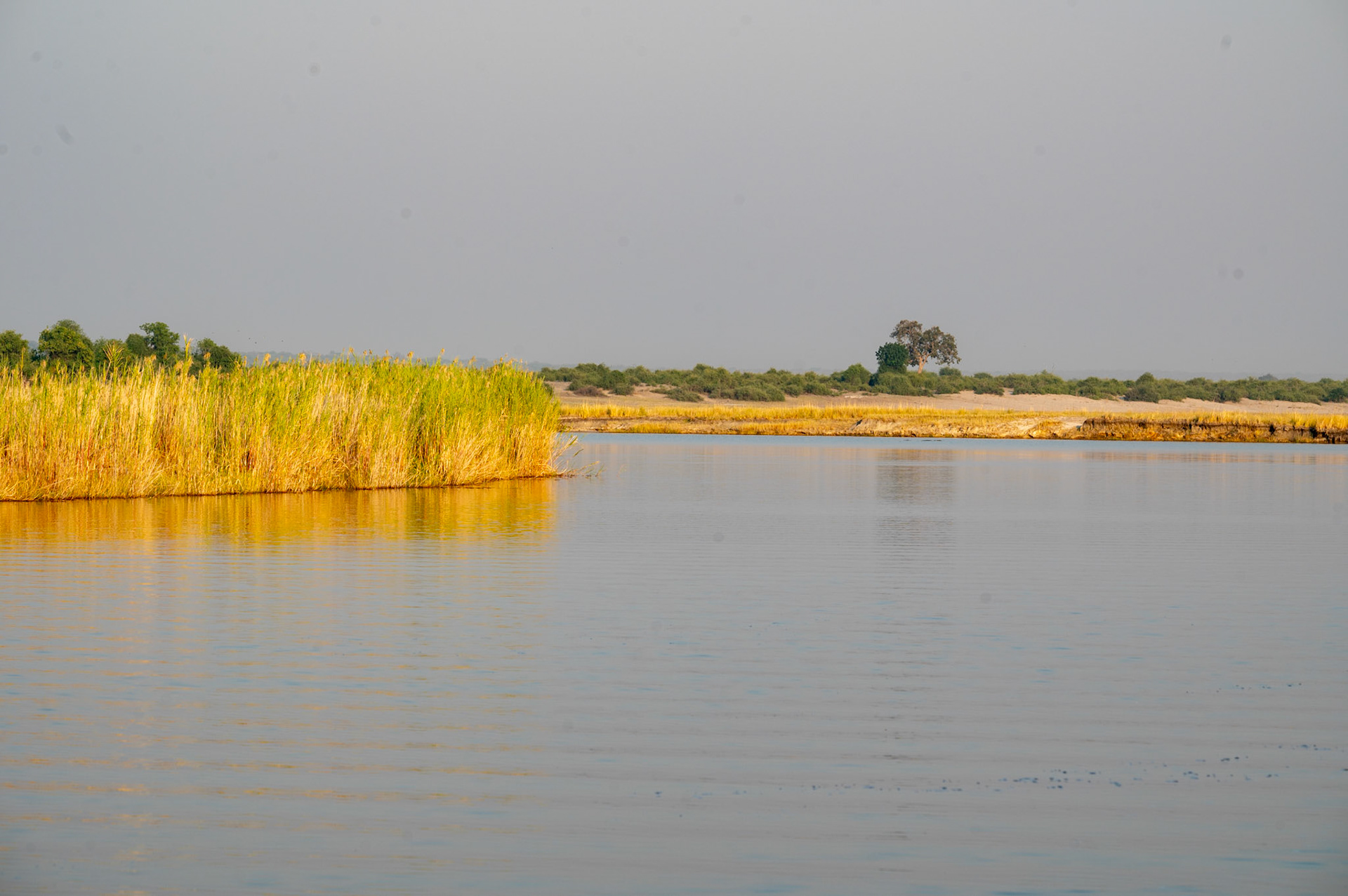 Chobe National Park, Botswana, Africa