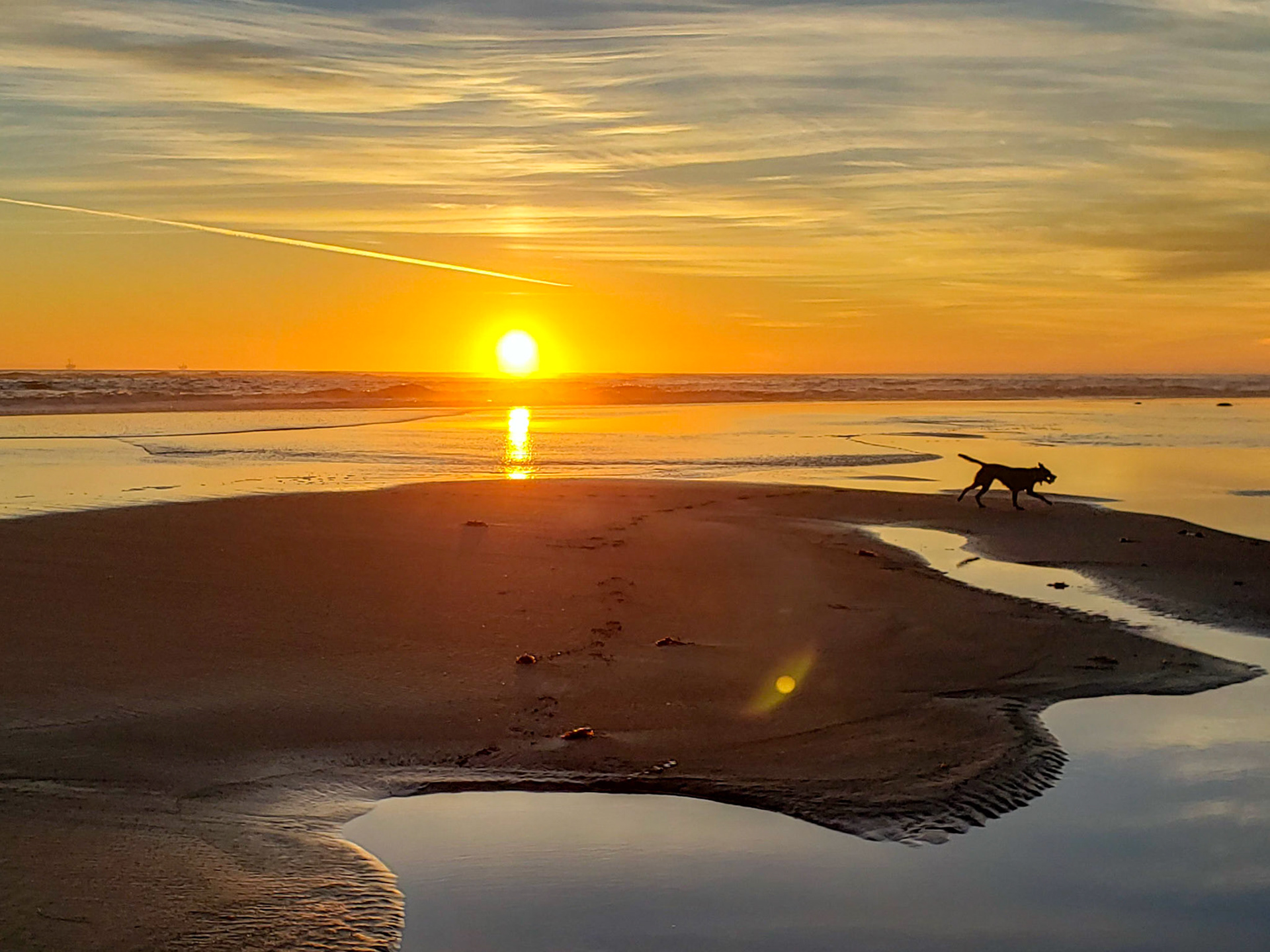 Carpinteria Beach, California