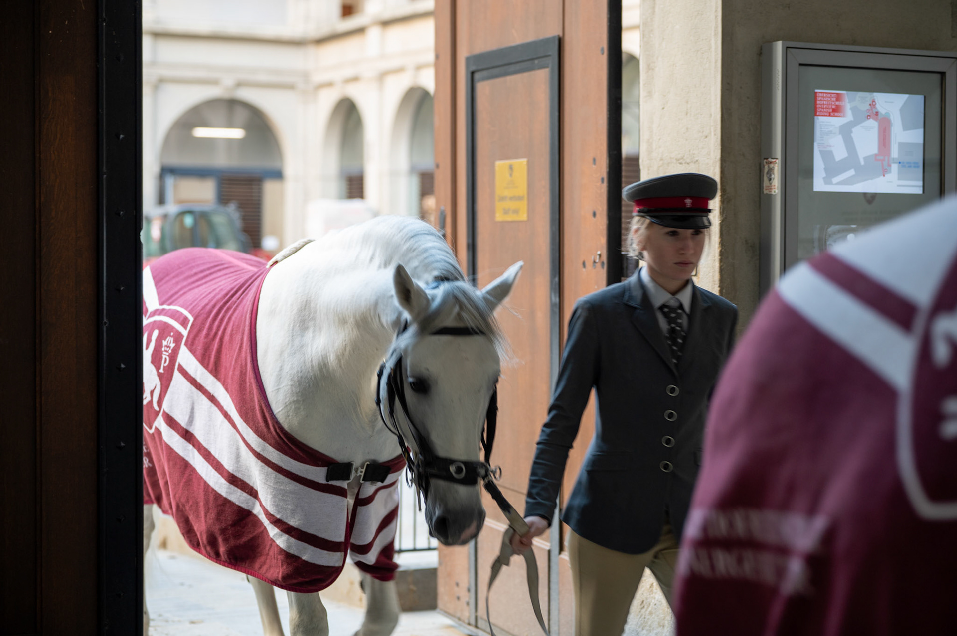 Spanish Riding School and Lipizzaner Stallions @ Hofburg, Vienna Austria