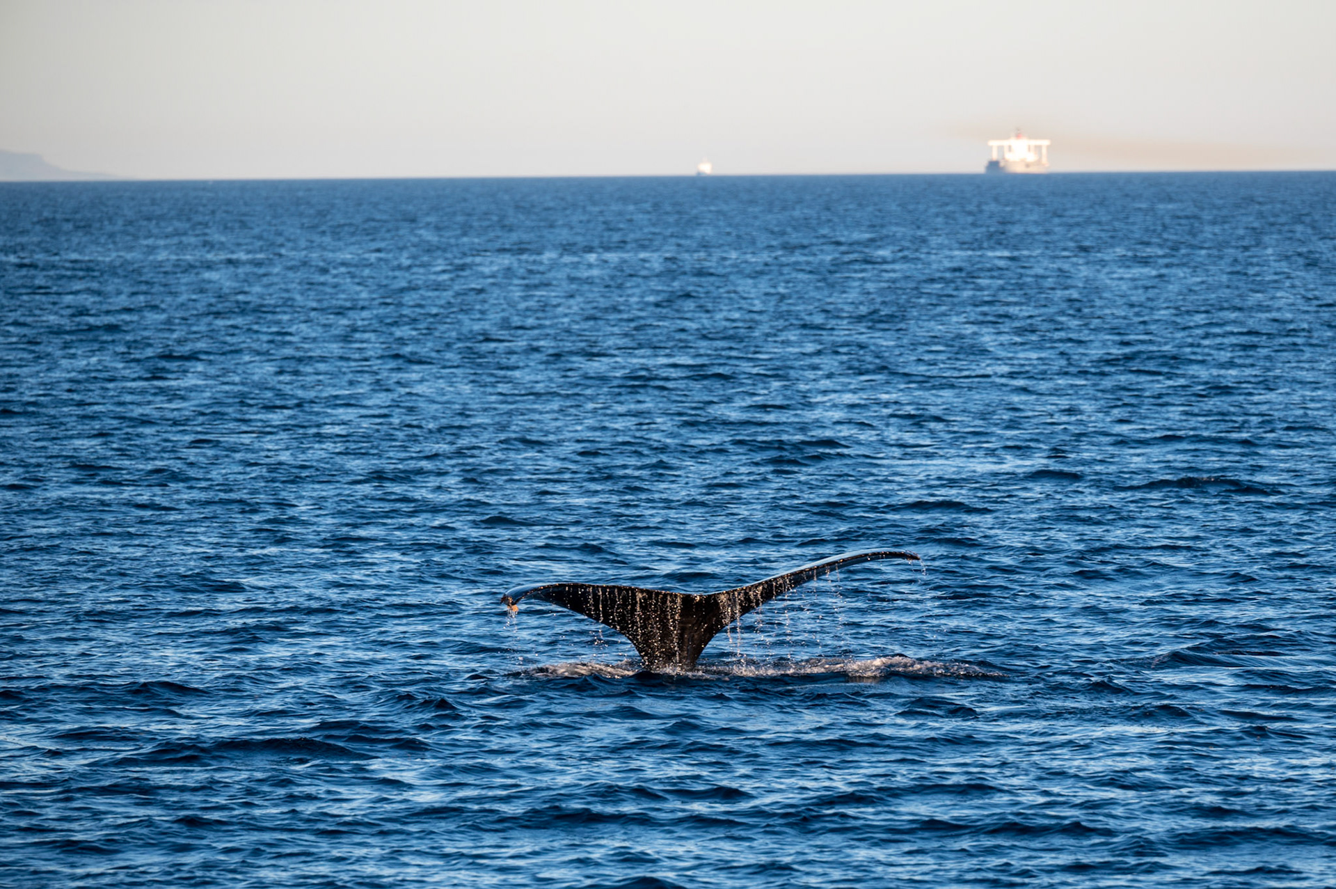 Santa Barbara Channel