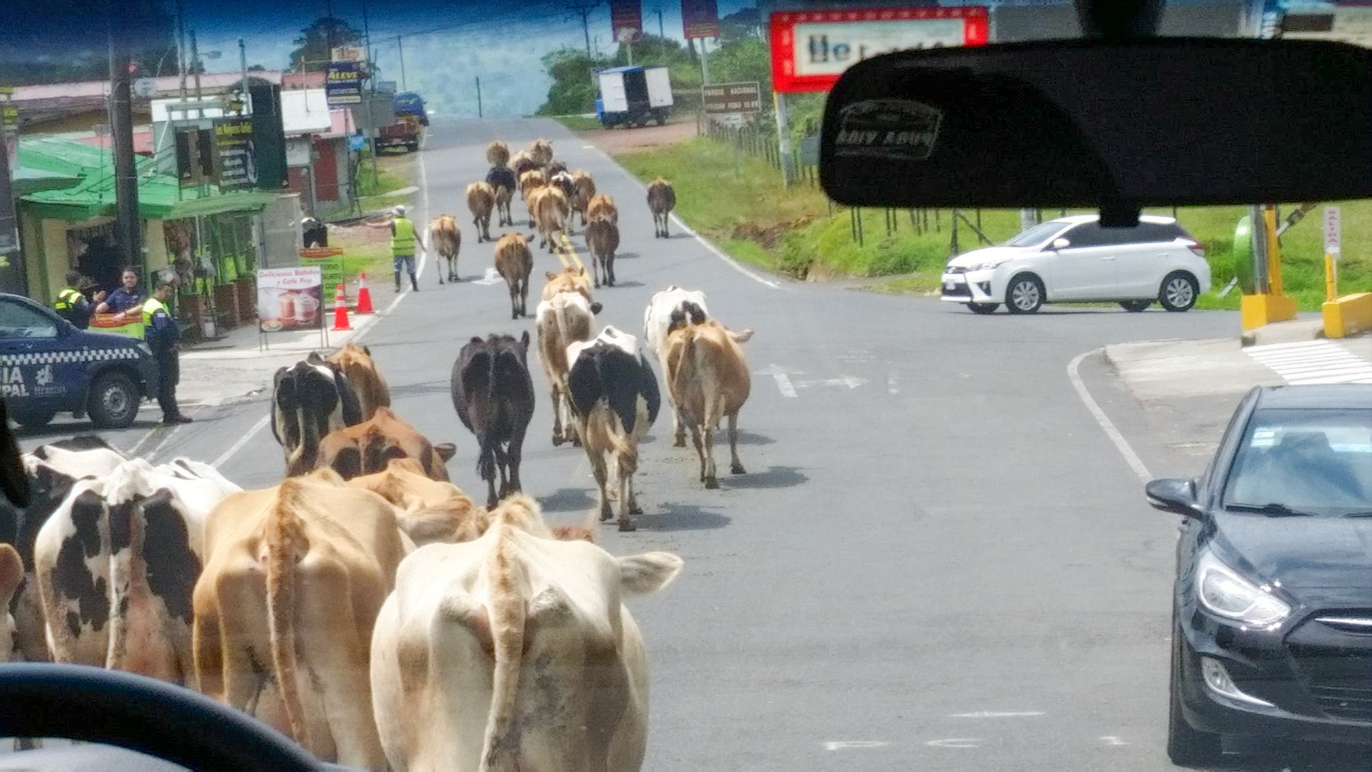 Traffic jam on the way to Arenal, Costa Rica