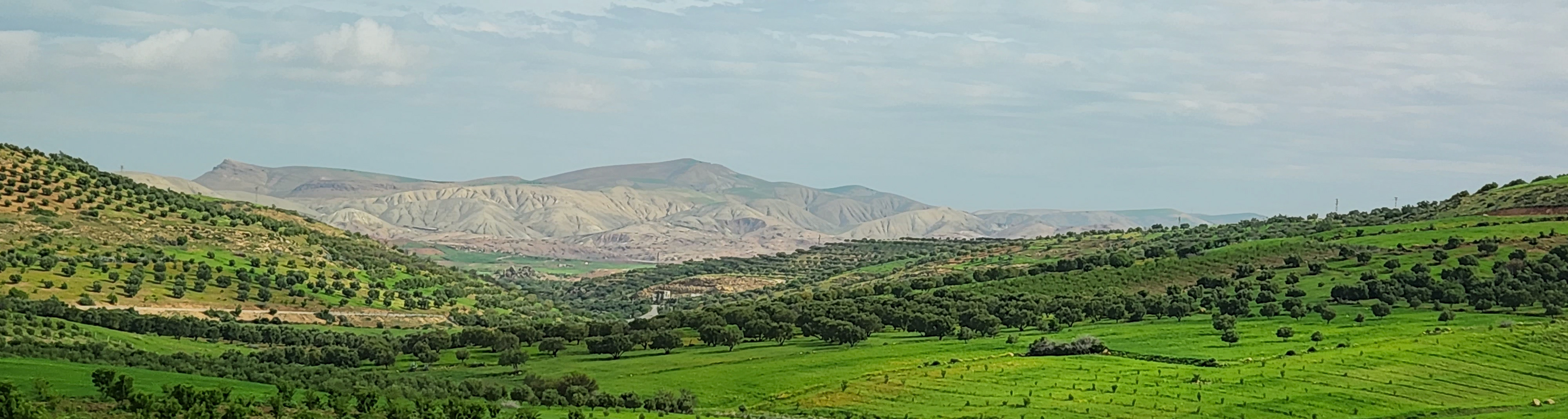 Landscape between Fes &amp; Mekenes Morocco