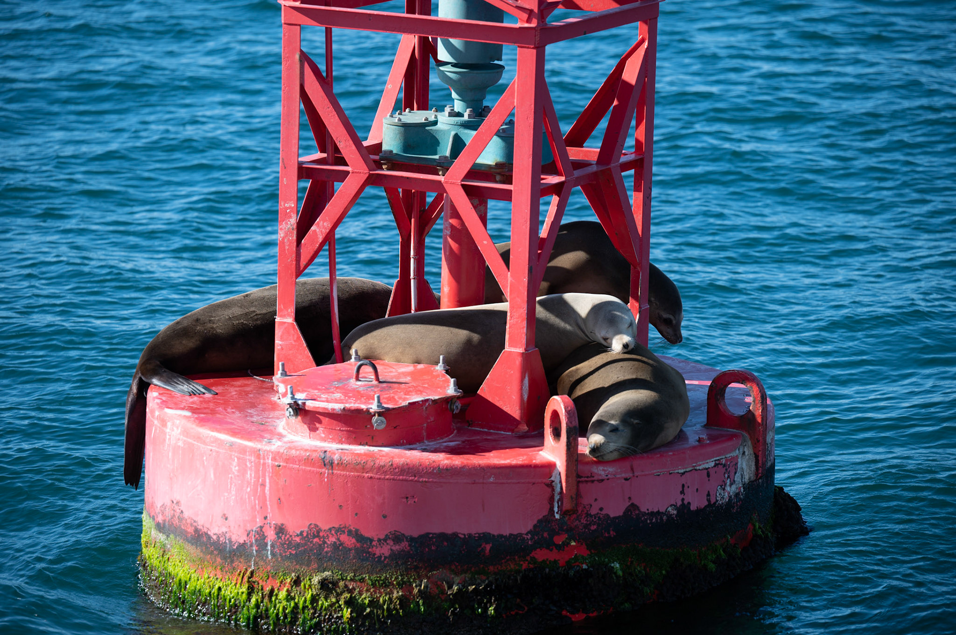 Santa Barbara Channel