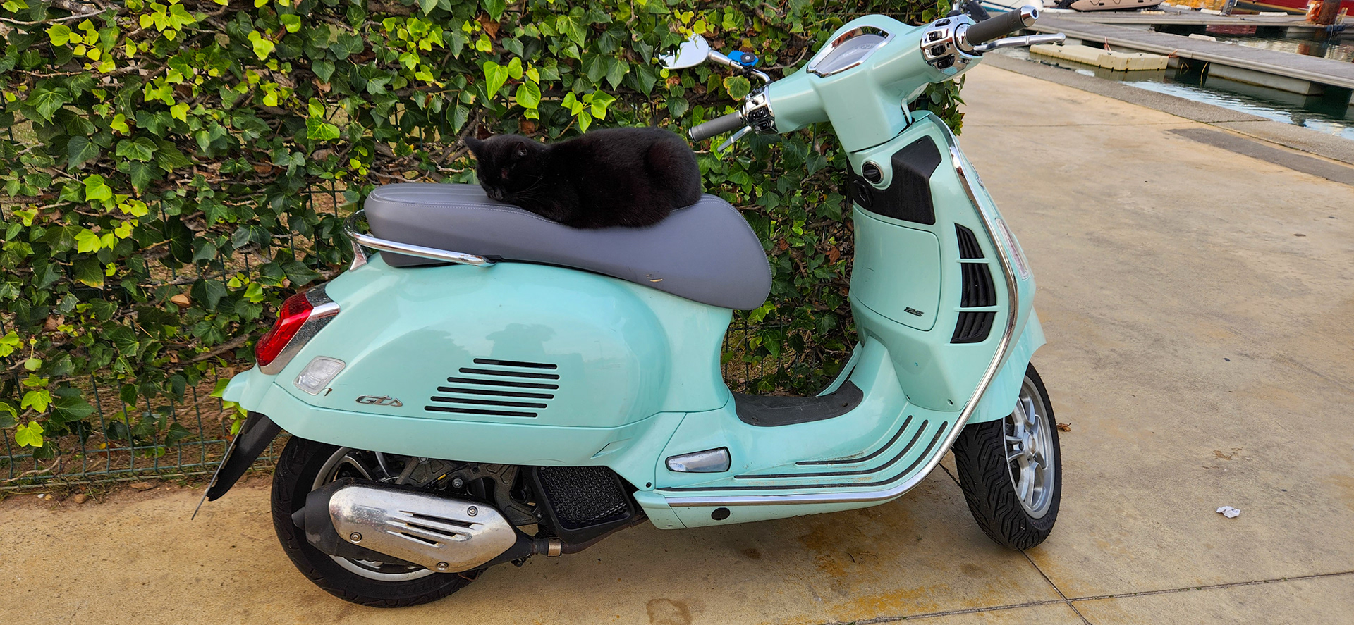 Cat on a scooter, Marina @ Portimao Portugal