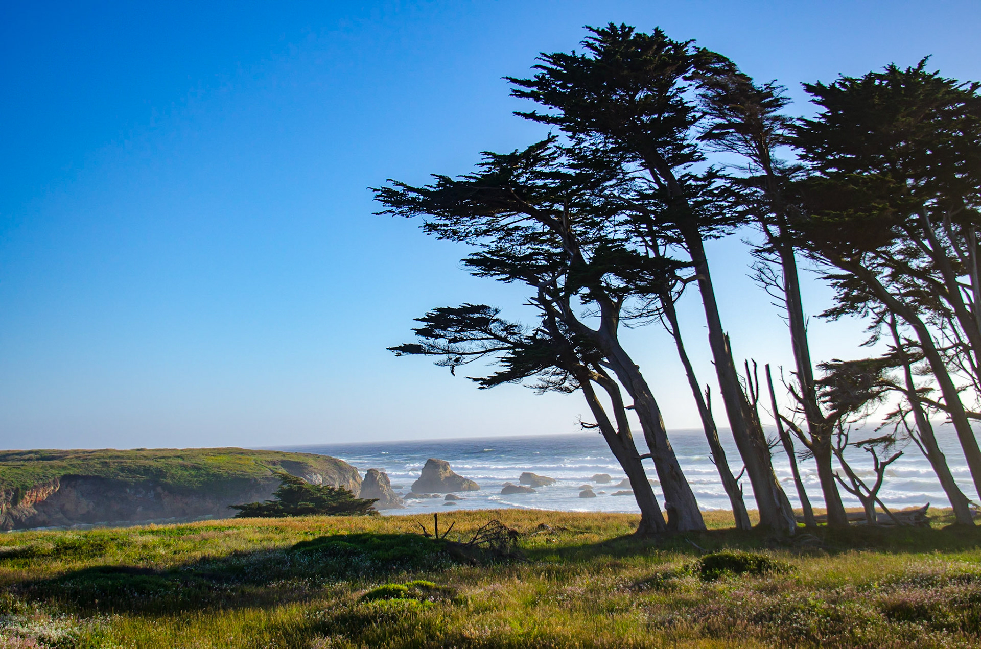 Ft. Bragg, California