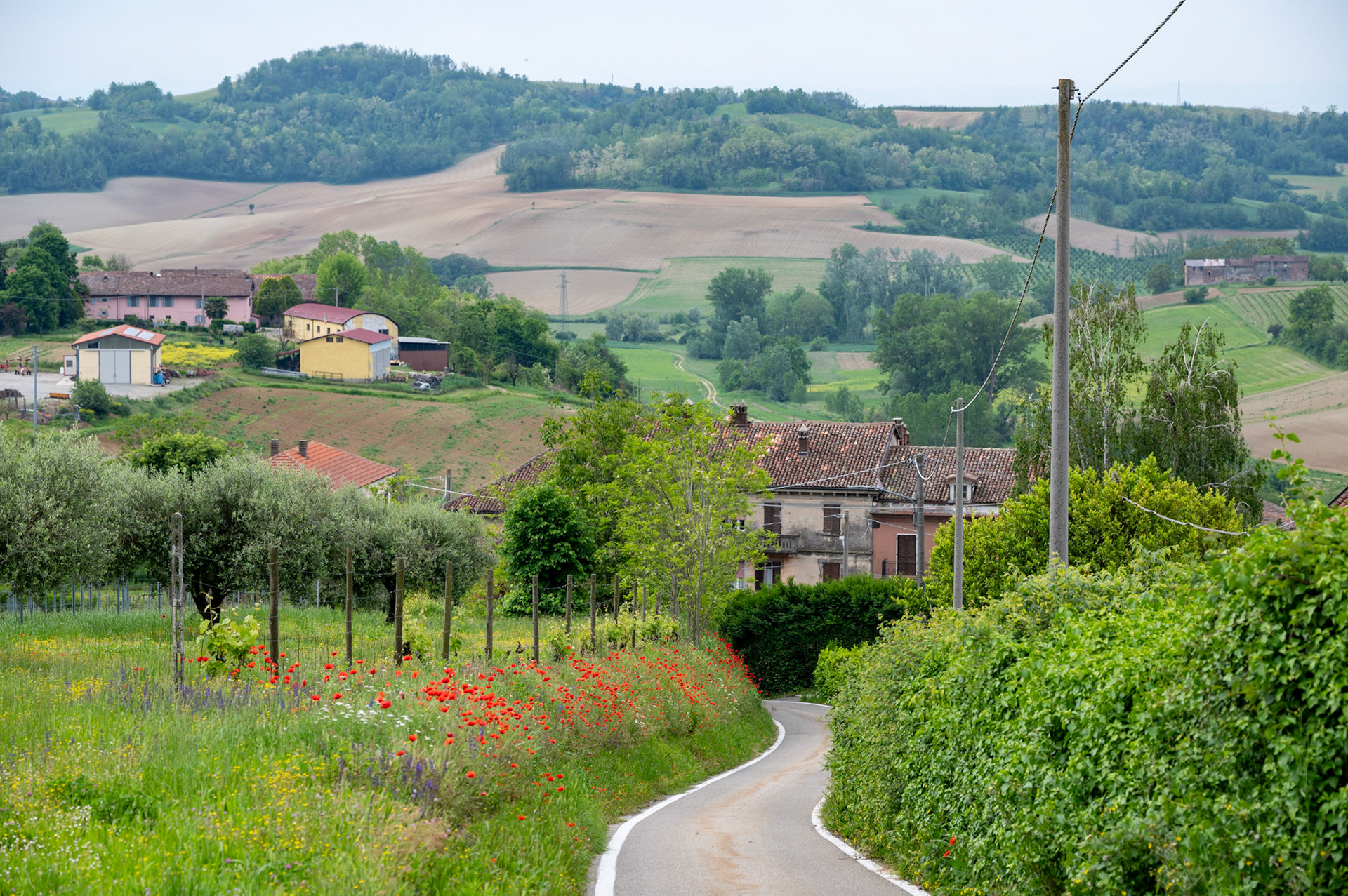 Near the village of Cioccaro, Piedmonte Italy