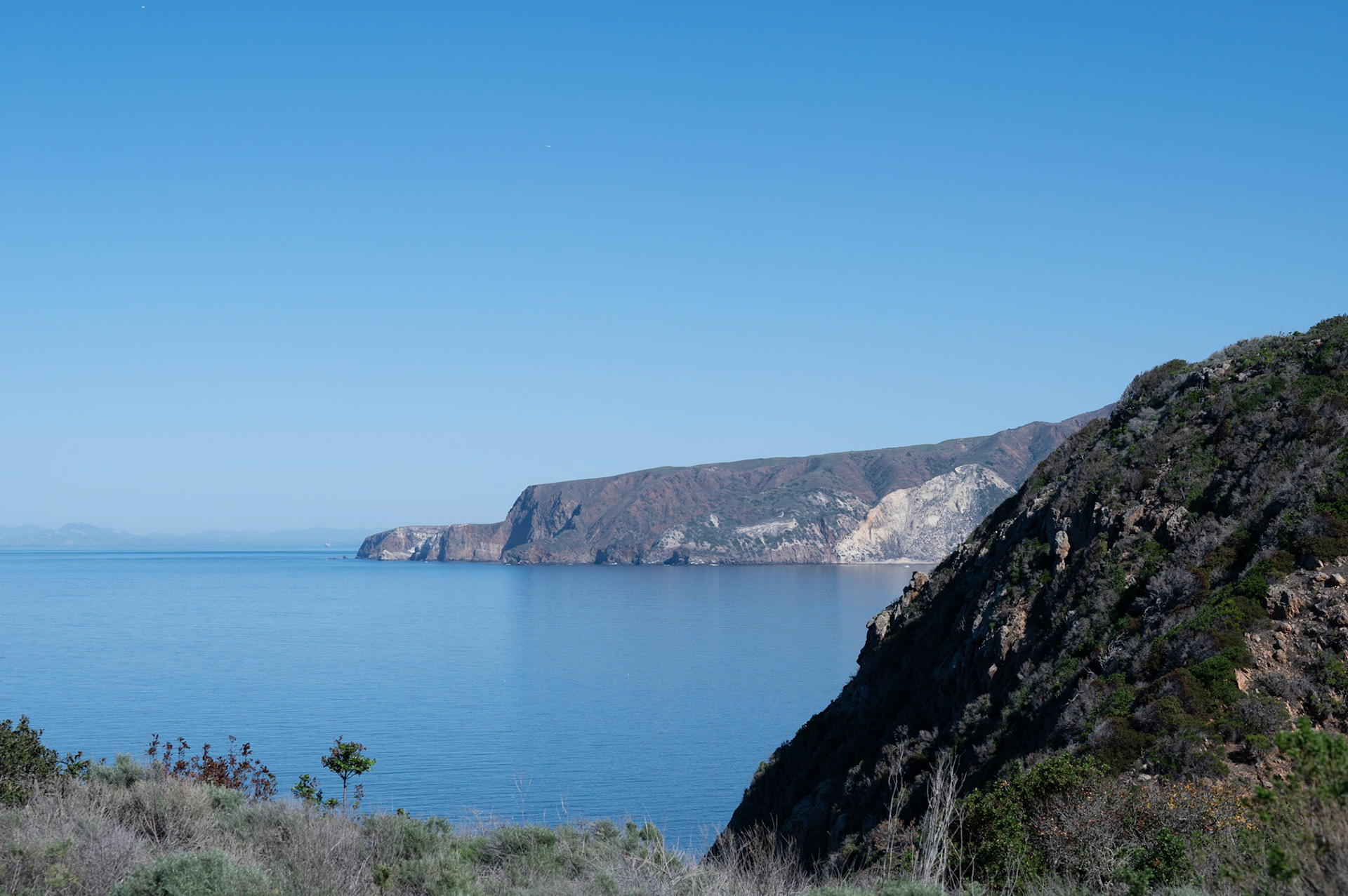 Anacapa Island, Channel Islands National Park, California