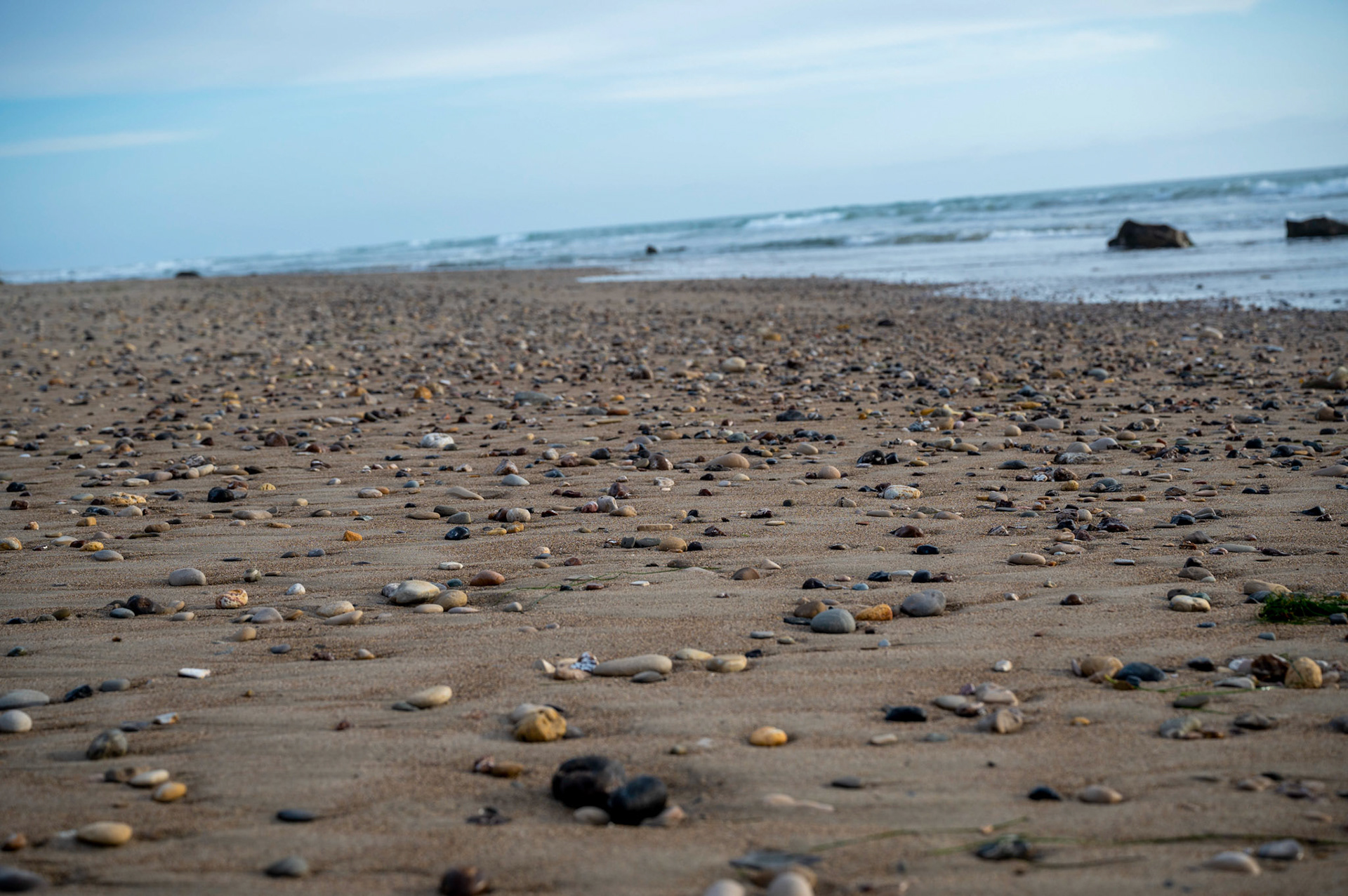 Jalama Beach, California