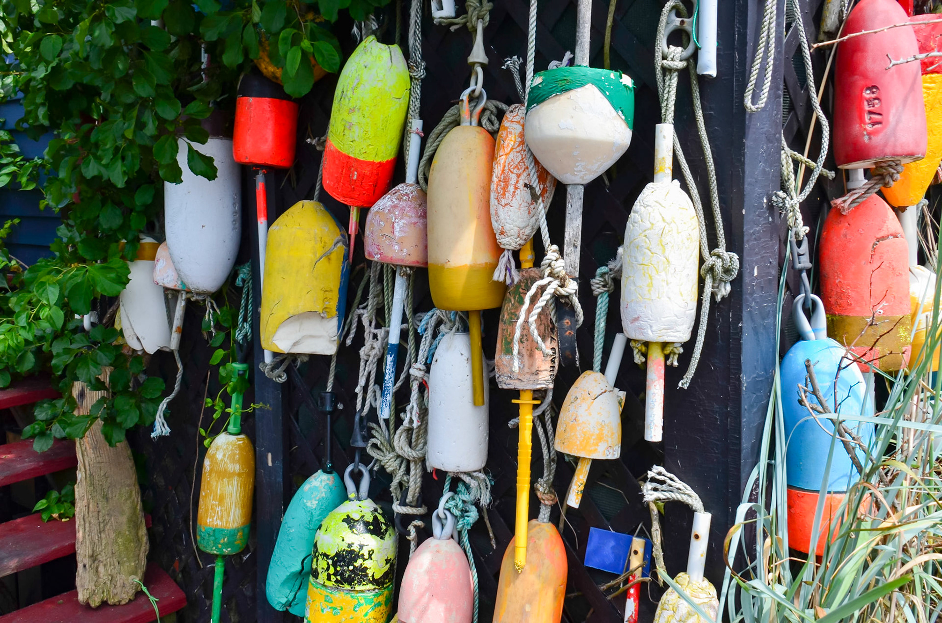 Lobster trap bouys
