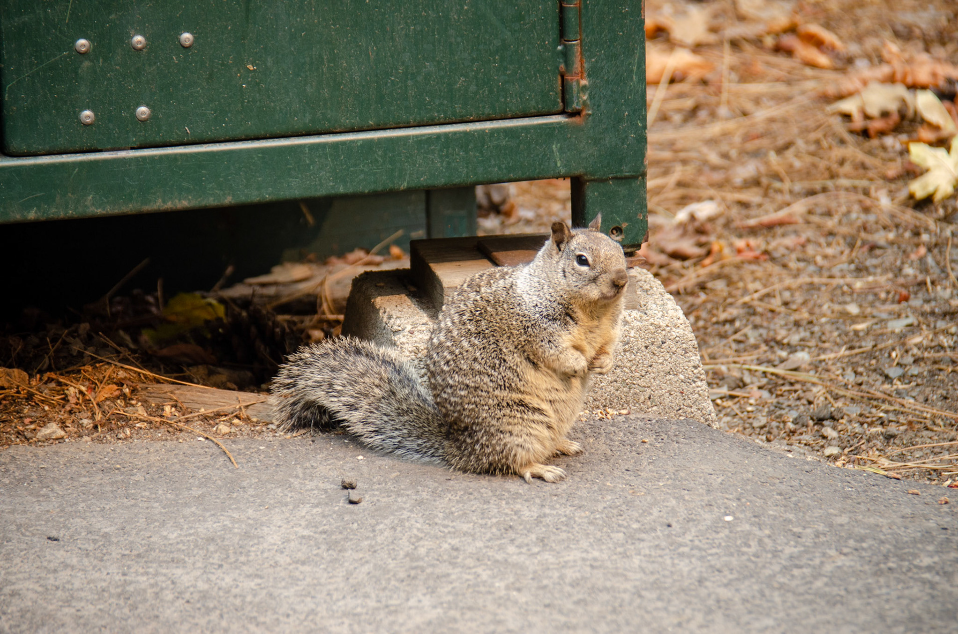 Yosemite, California