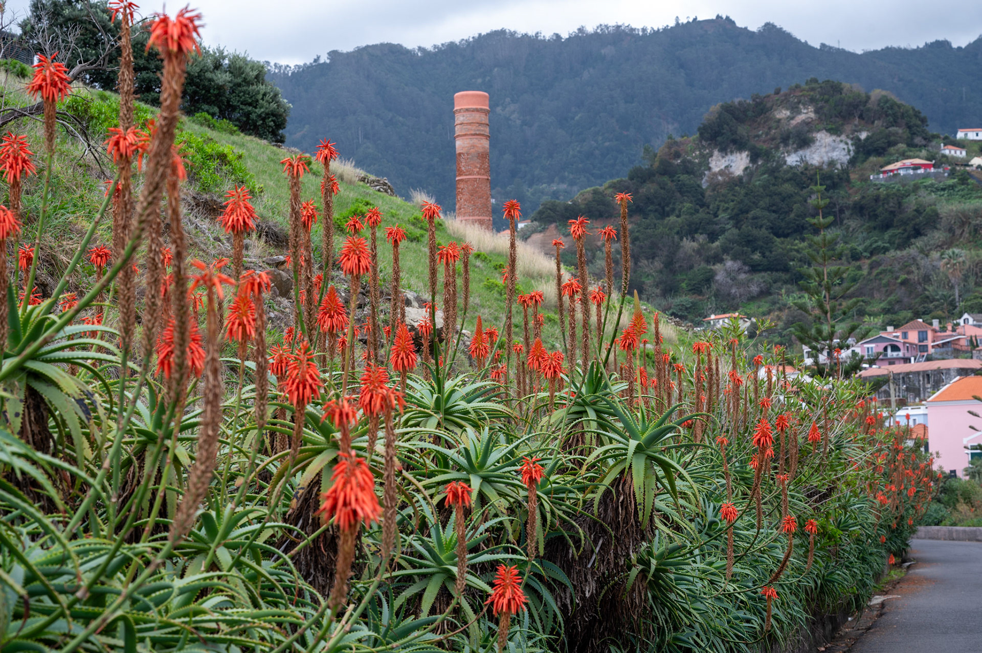 Madeira Portugal