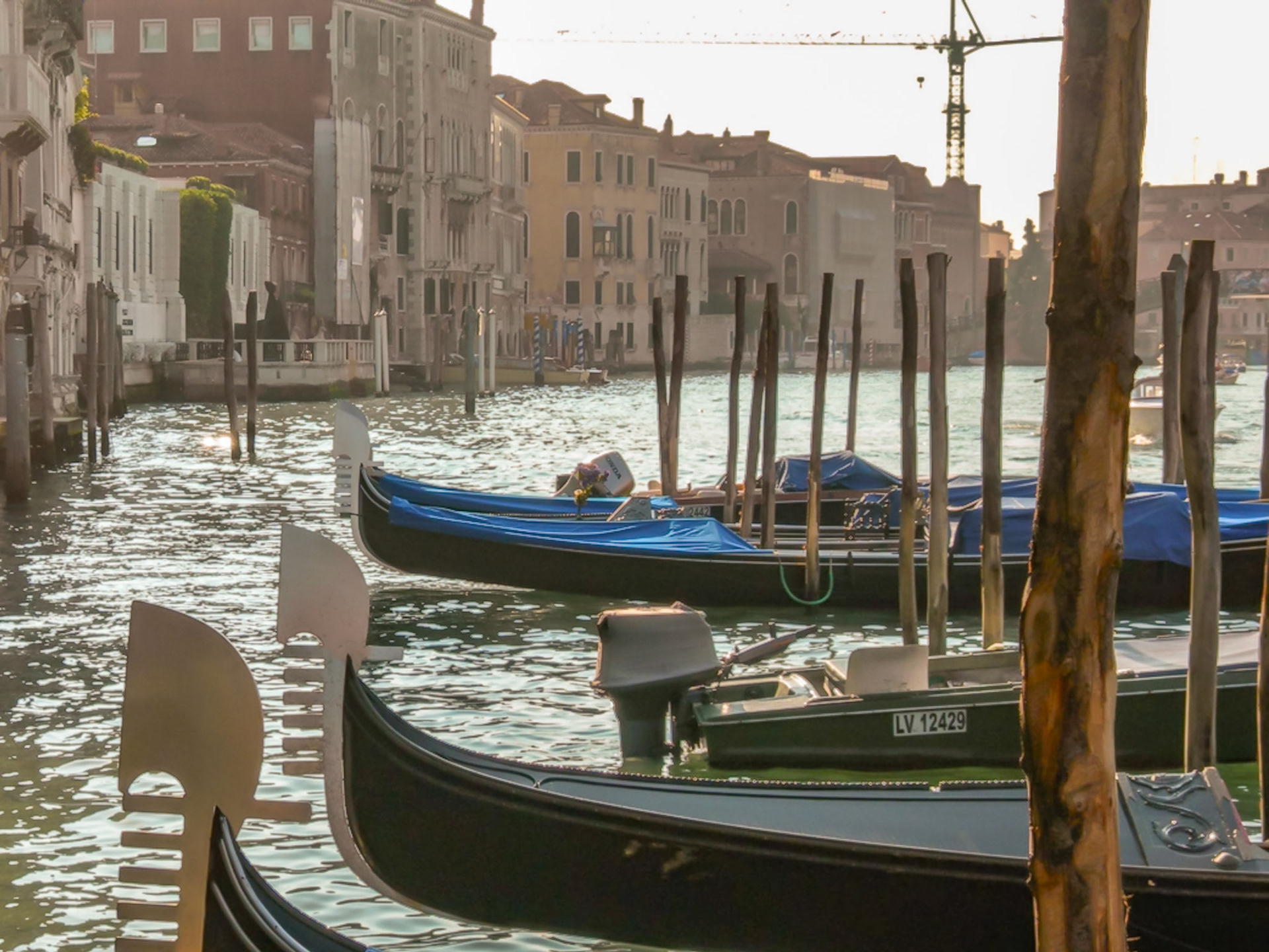 Gondolas along the Grand Canal - Venice Italy