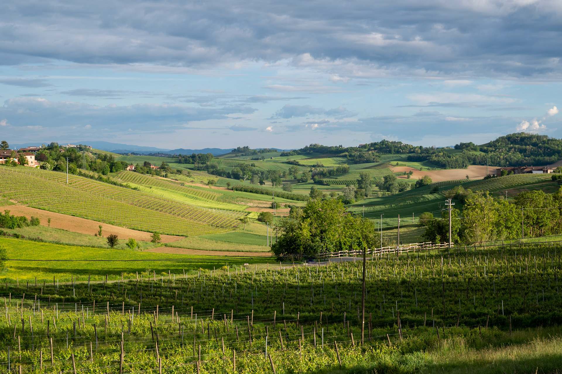 Piedmonte Italy