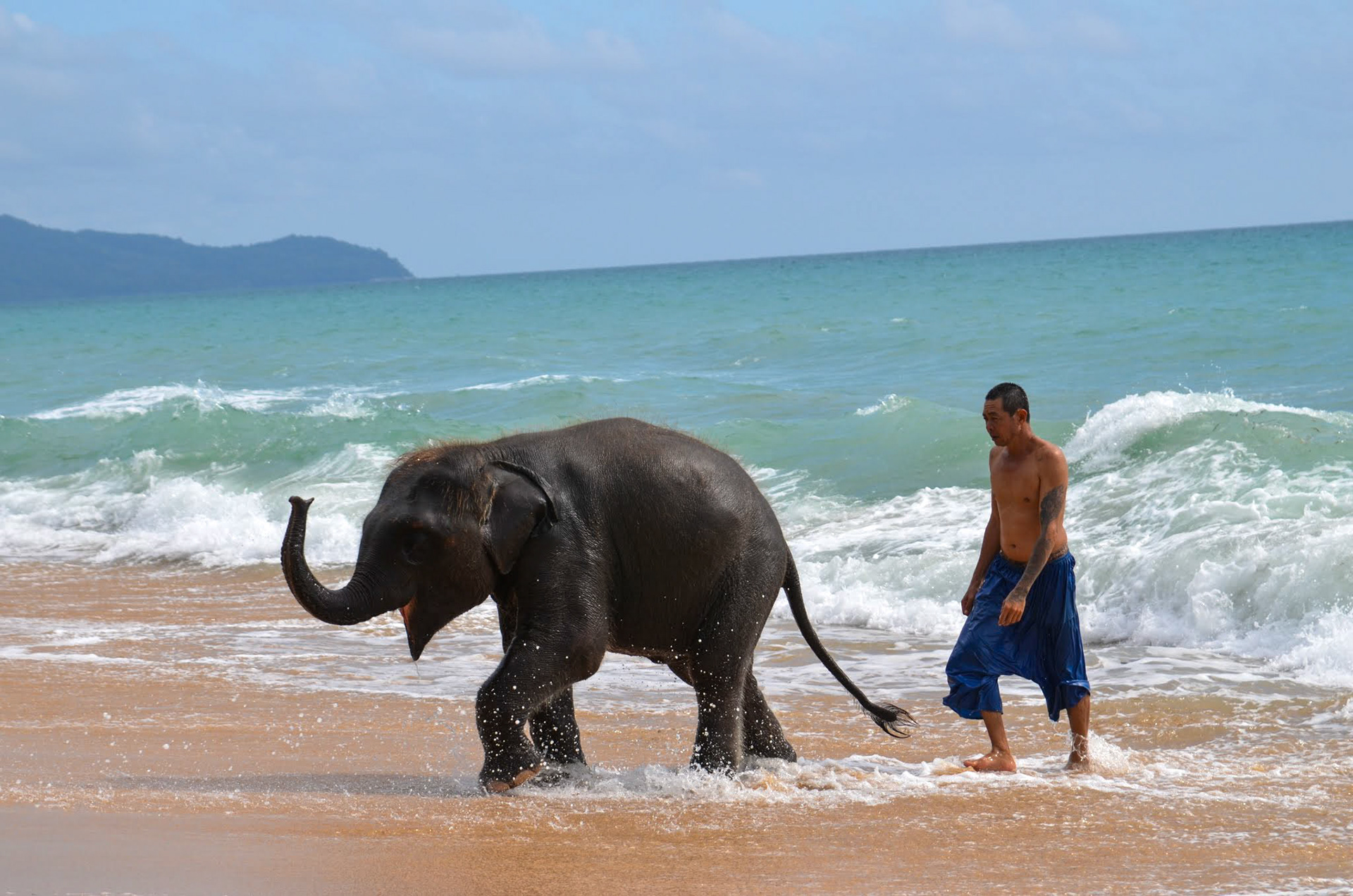 Elephant playing in the Ocean, Phuket Thailand
