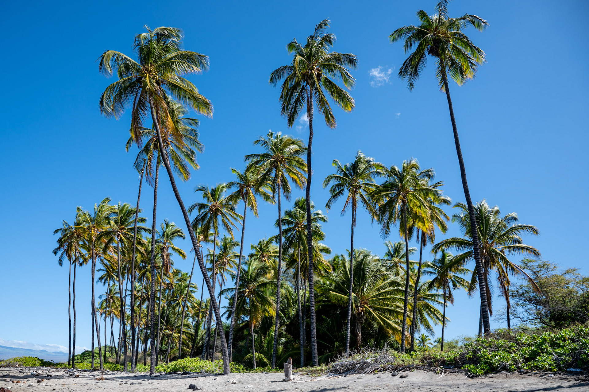 Beach in Kailua Hawaii