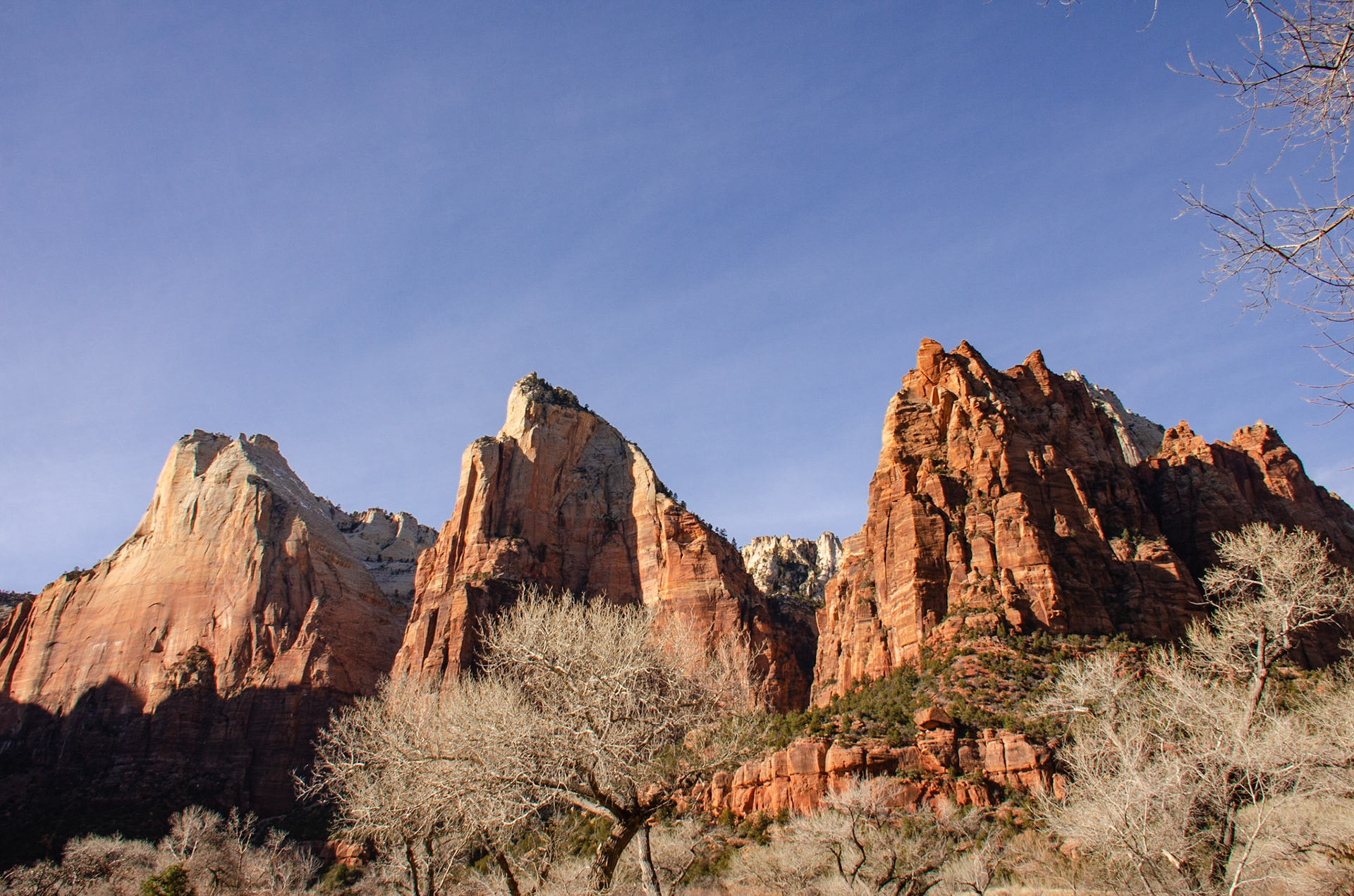 Zion National Park