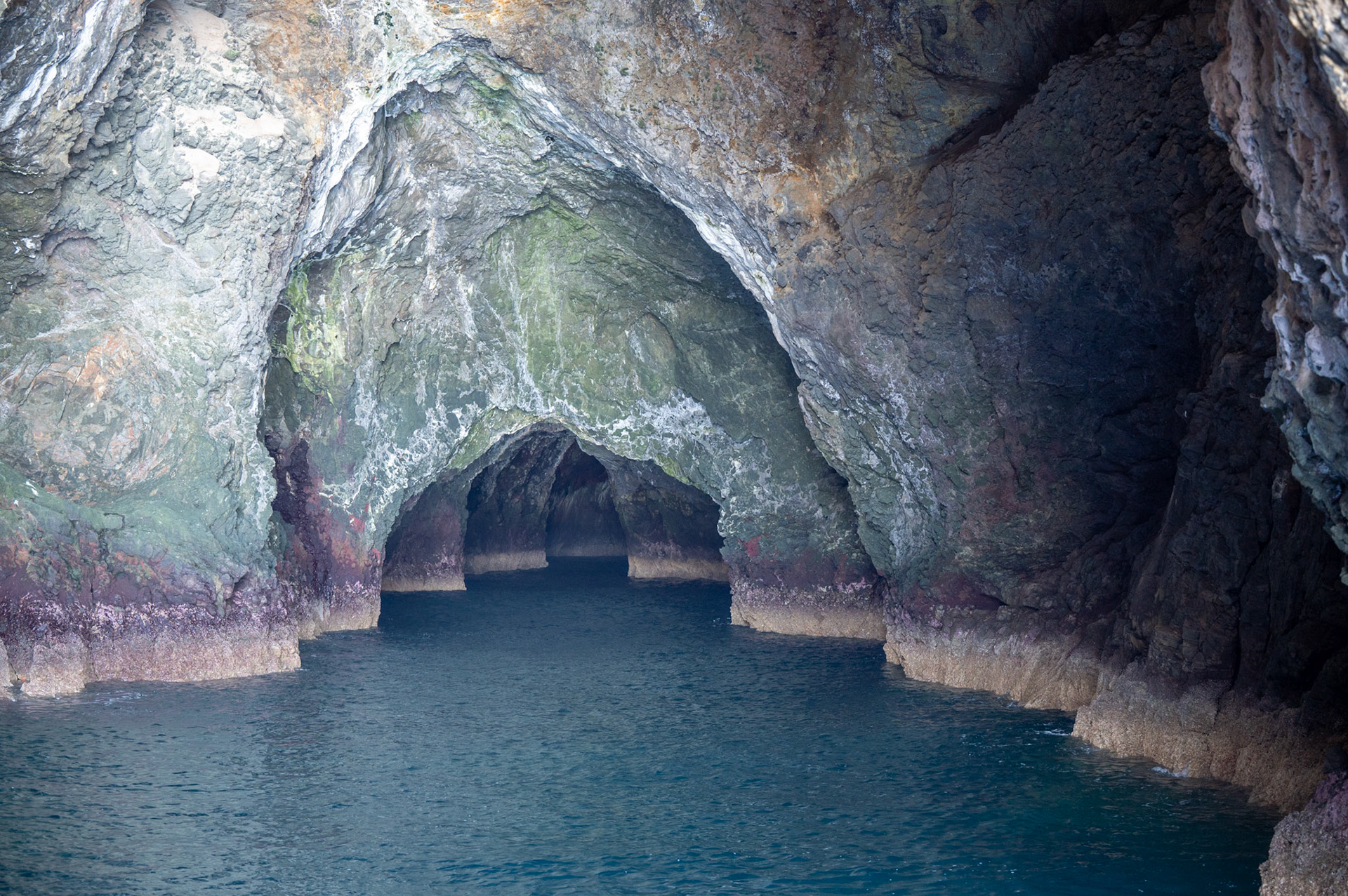 Caves on Anacapa Island, Channel Islands National Park